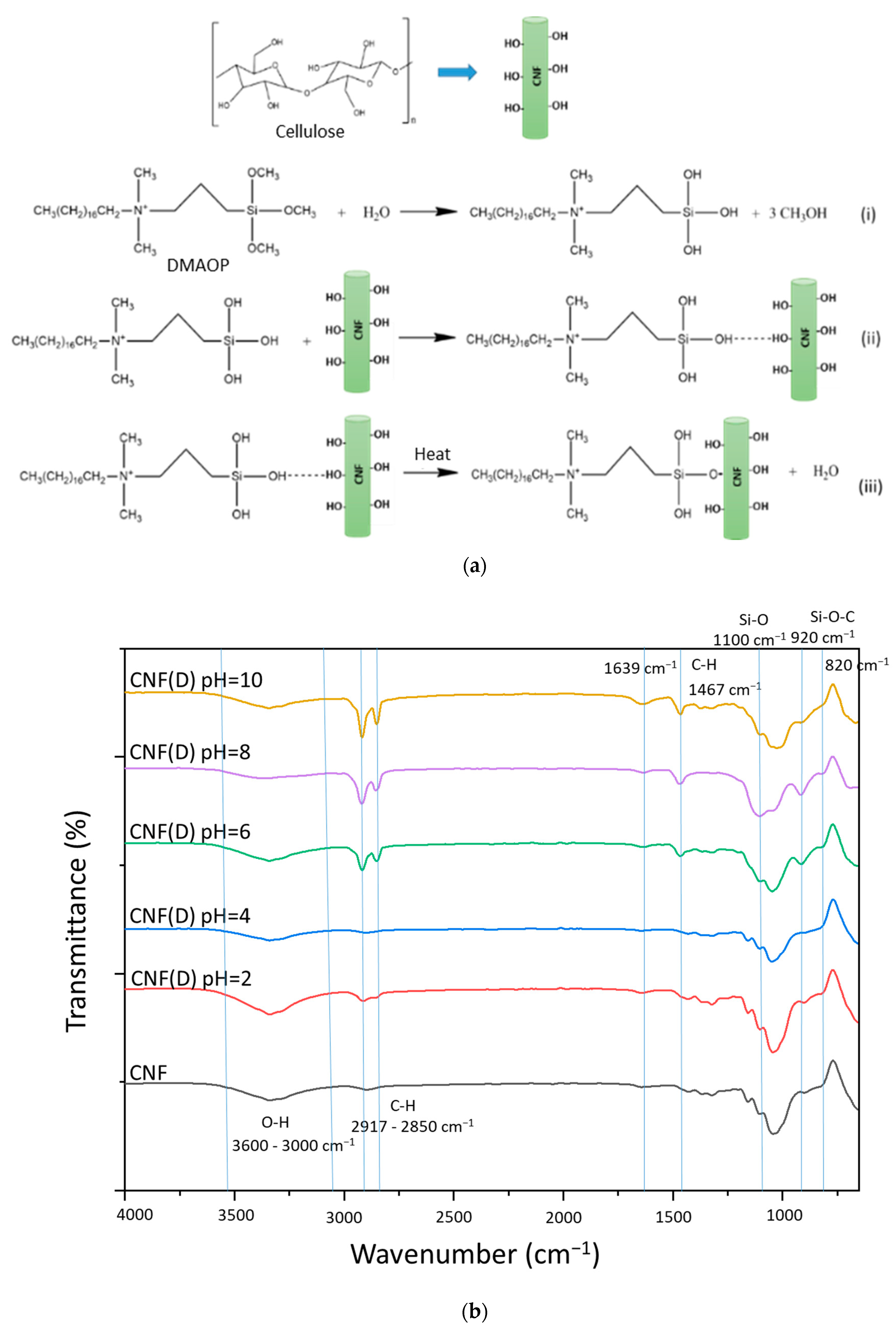 Polymers 15 01146 g001 Polymers 15 01146 g001