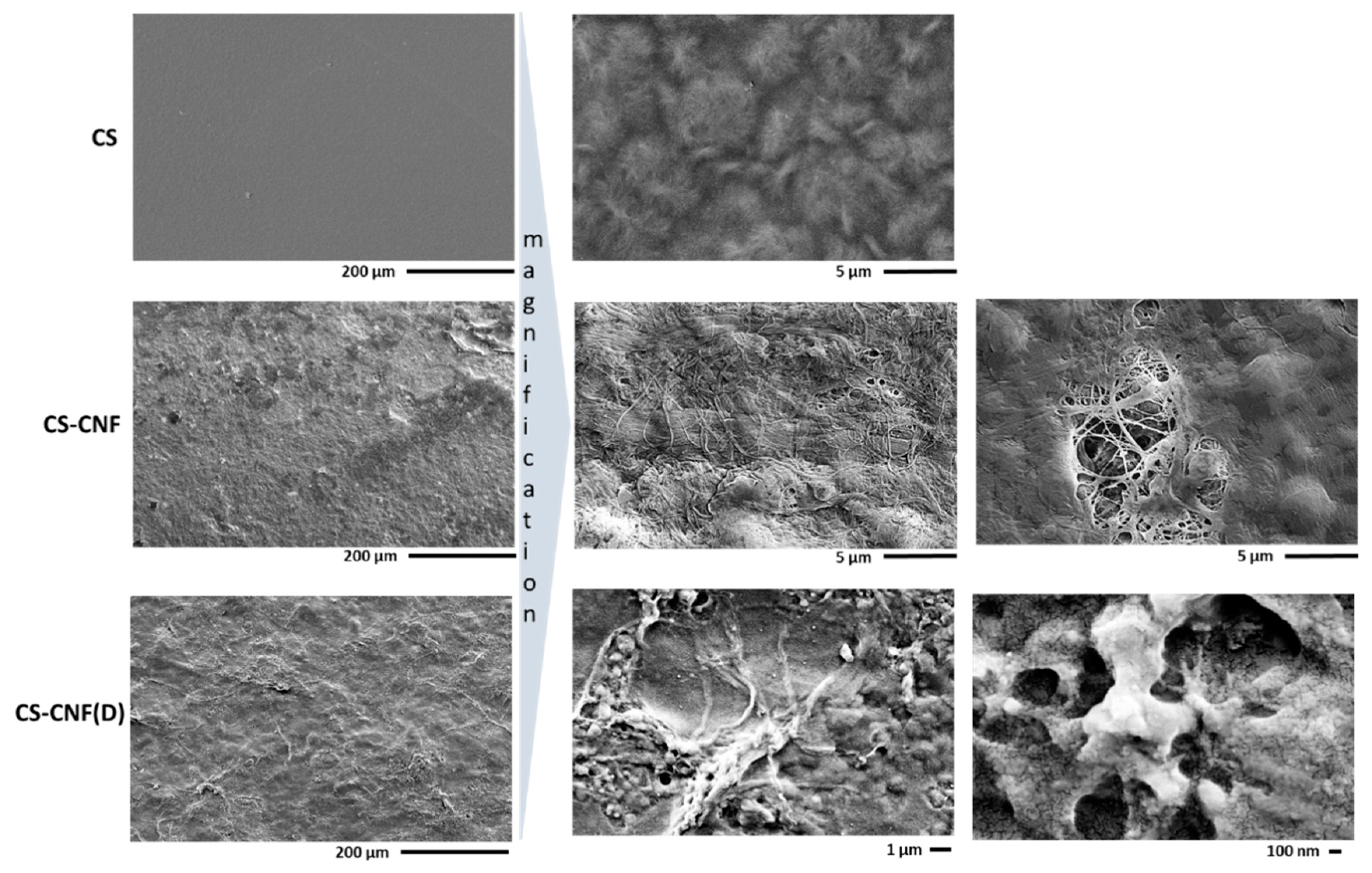 Polymers 15 01146 g008 Polymers 15 01146 g008