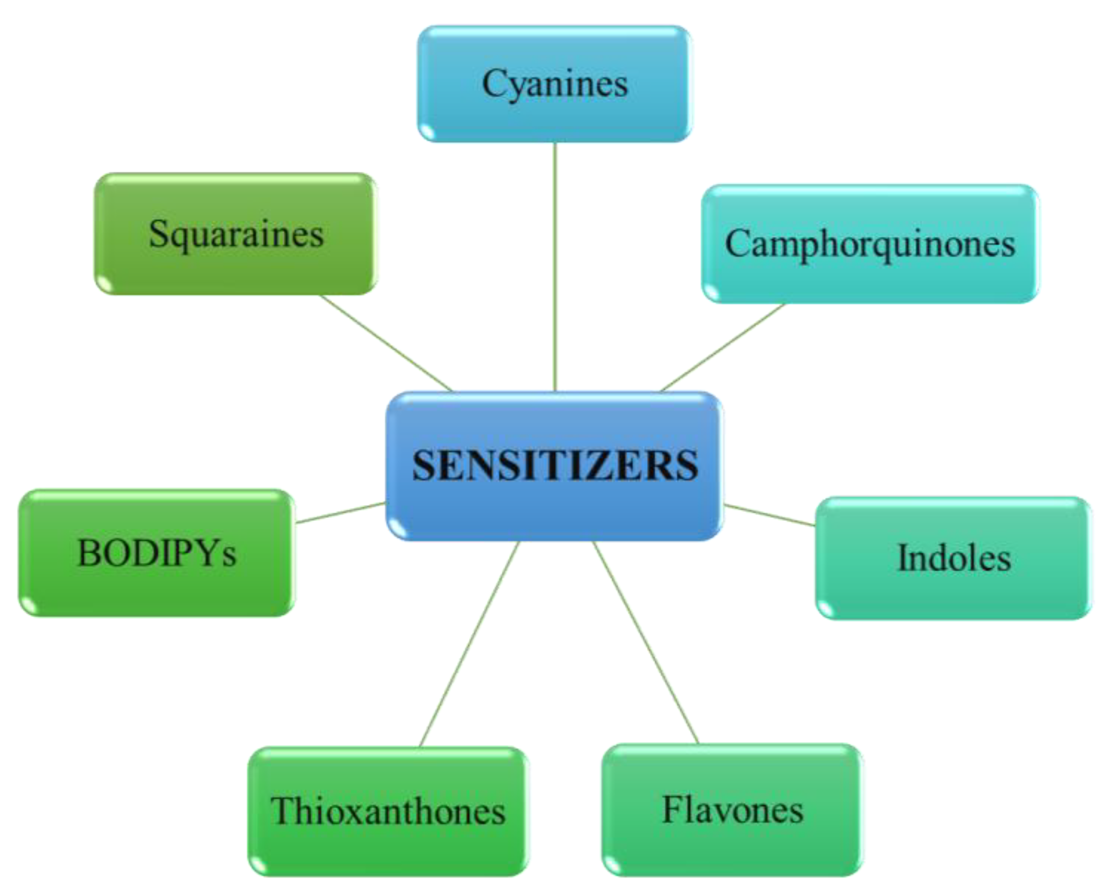 Polymers 15 01148 g005