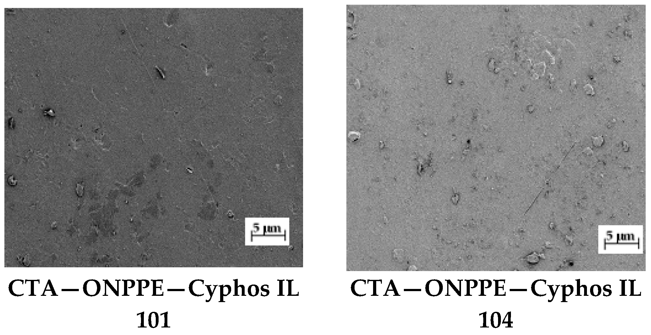 Polymers 15 01149 g003 Polymers 15 01149 g003