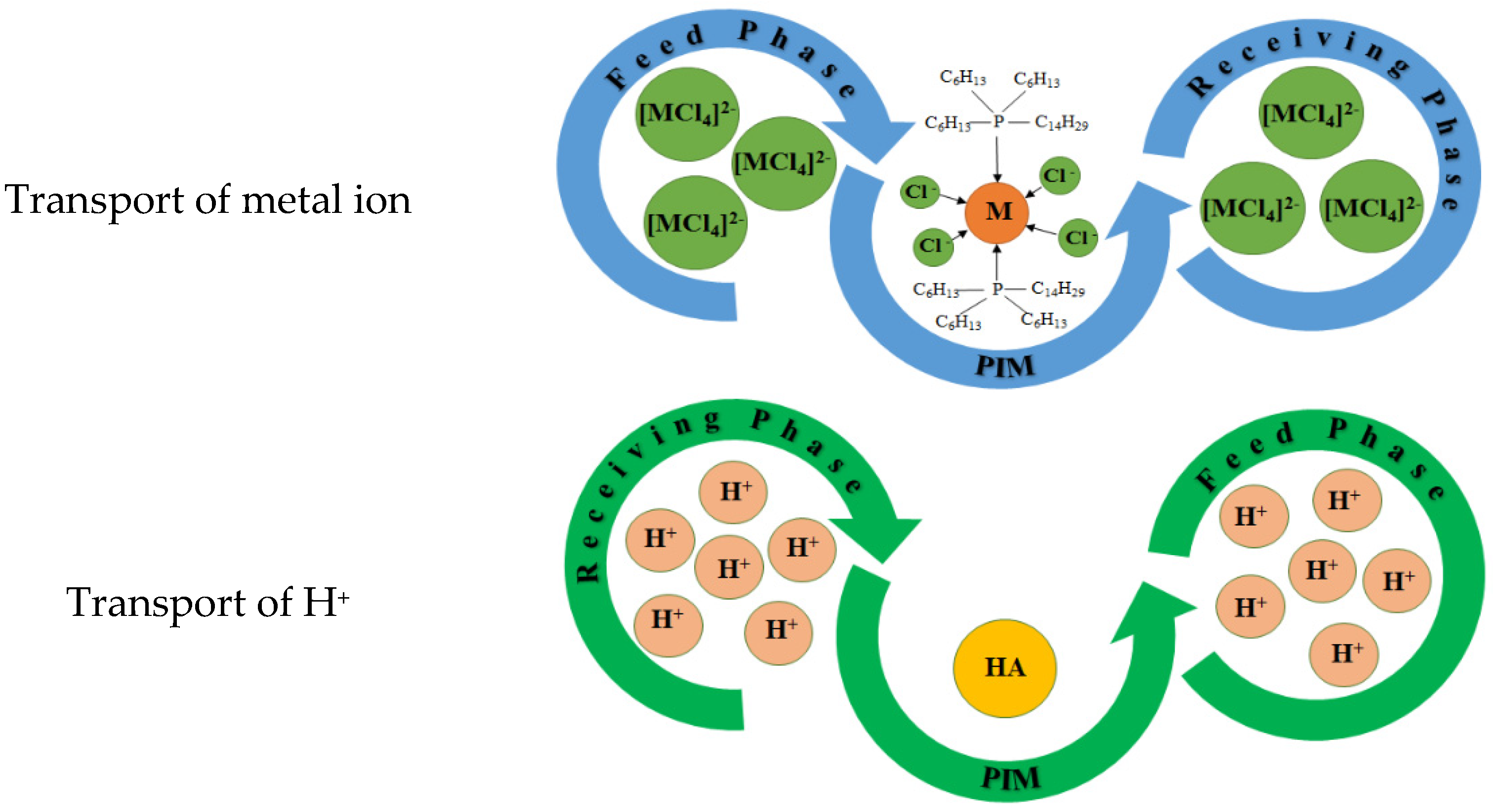 Polymers 15 01149 g007 Polymers 15 01149 g007