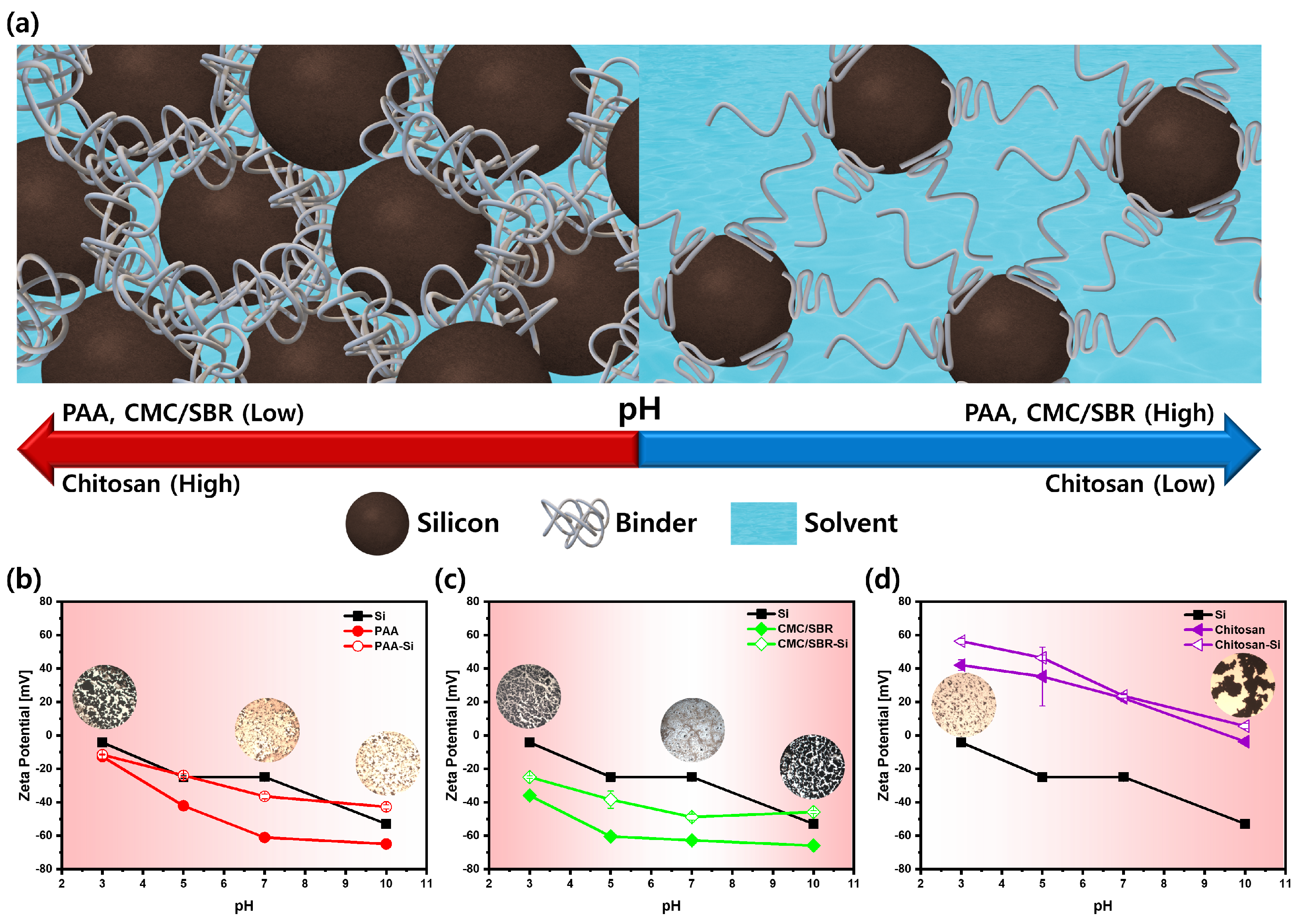Polymers 15 01152 g001 Polymers 15 01152 g001