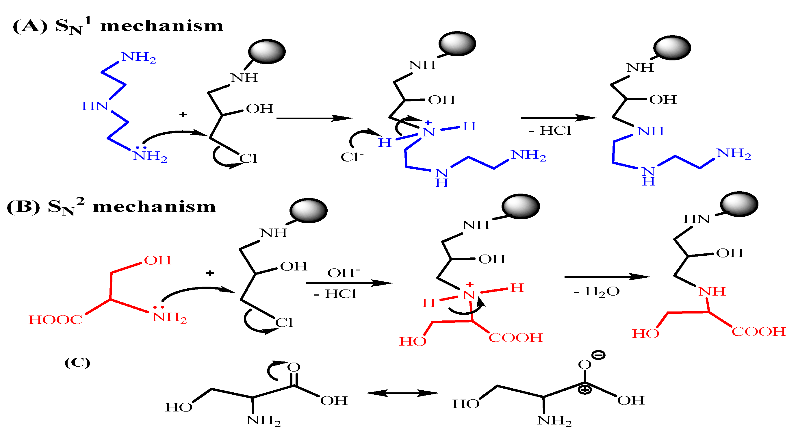 Polymers 15 01157 sch003 Polymers 15 01157 sch003