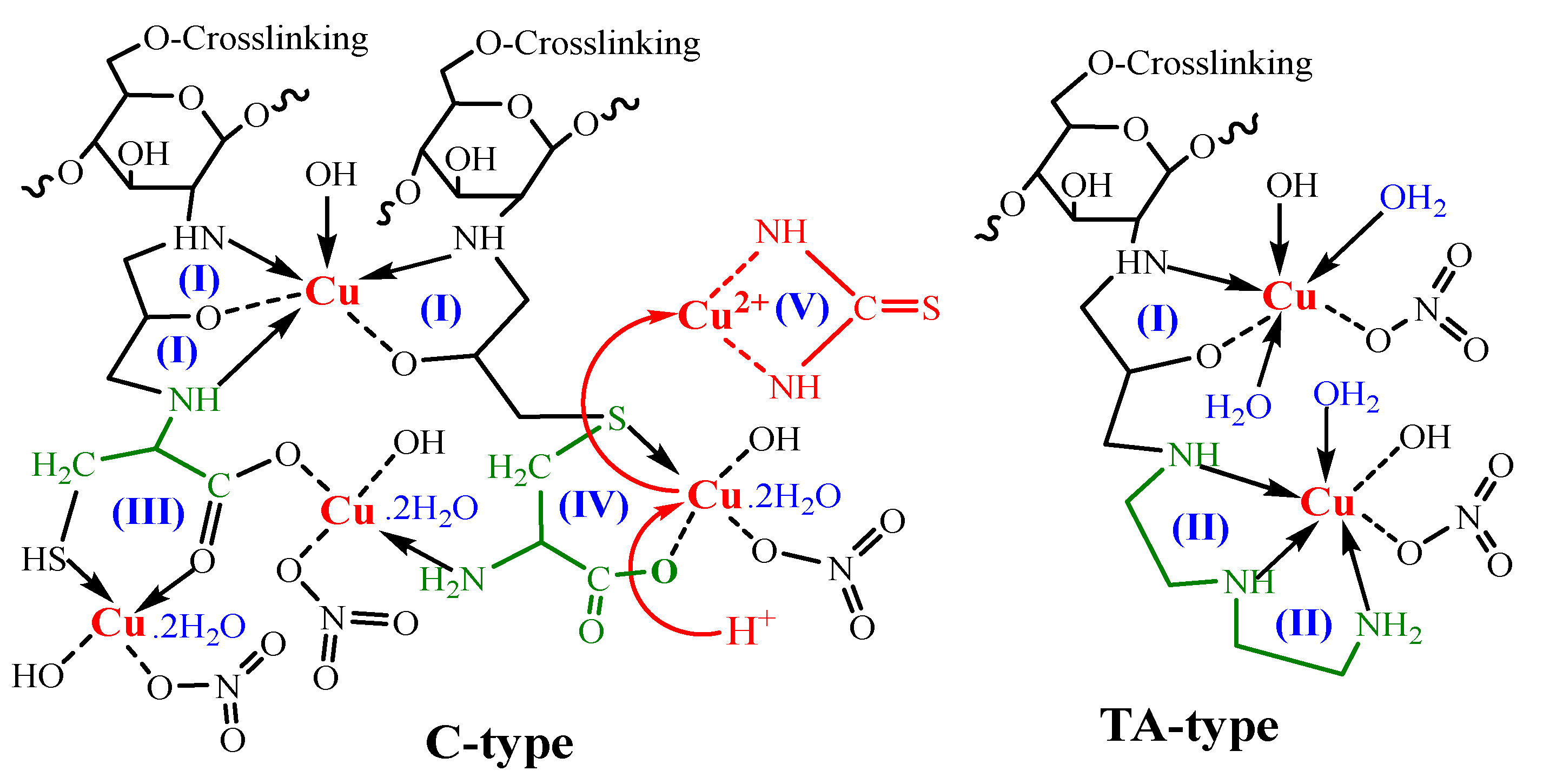 Polymers 15 01157 sch004 Polymers 15 01157 sch004