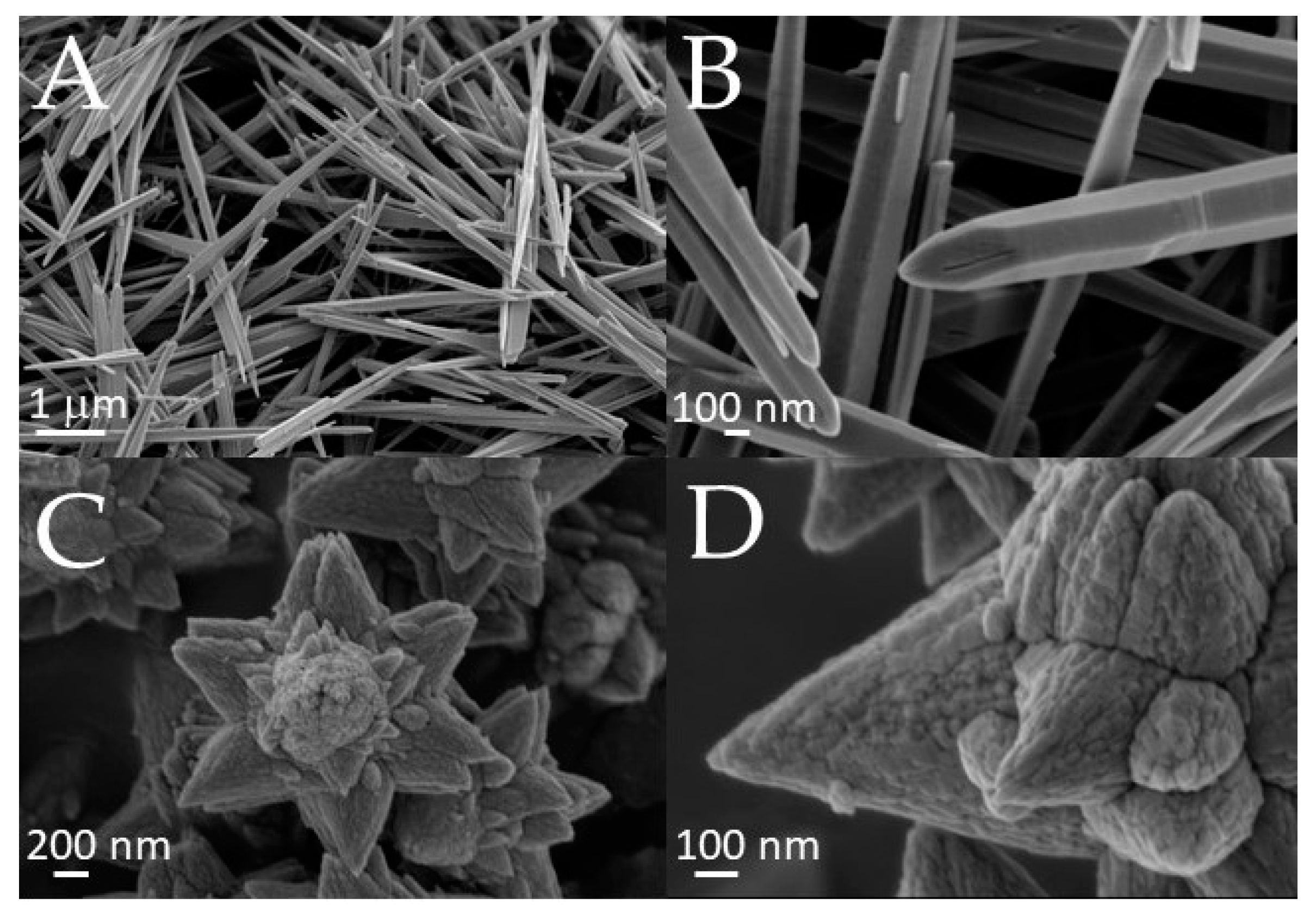 Polymers 15 01159 g005