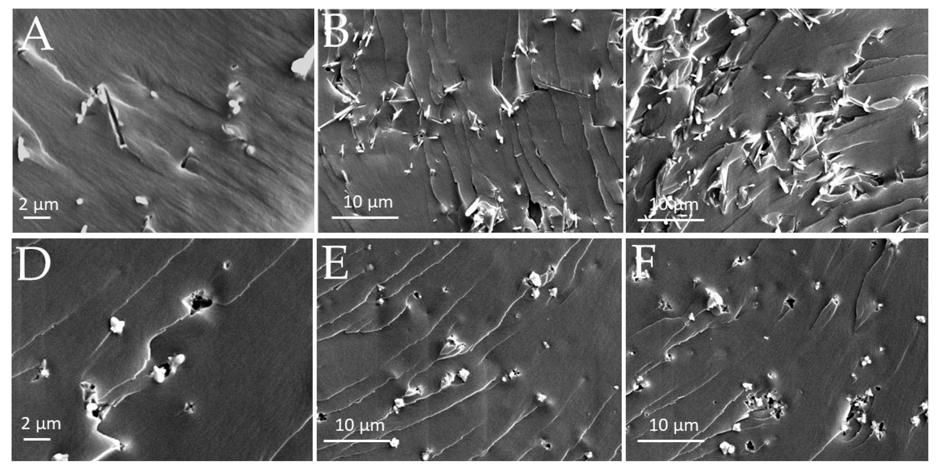Polymers 15 01159 g009