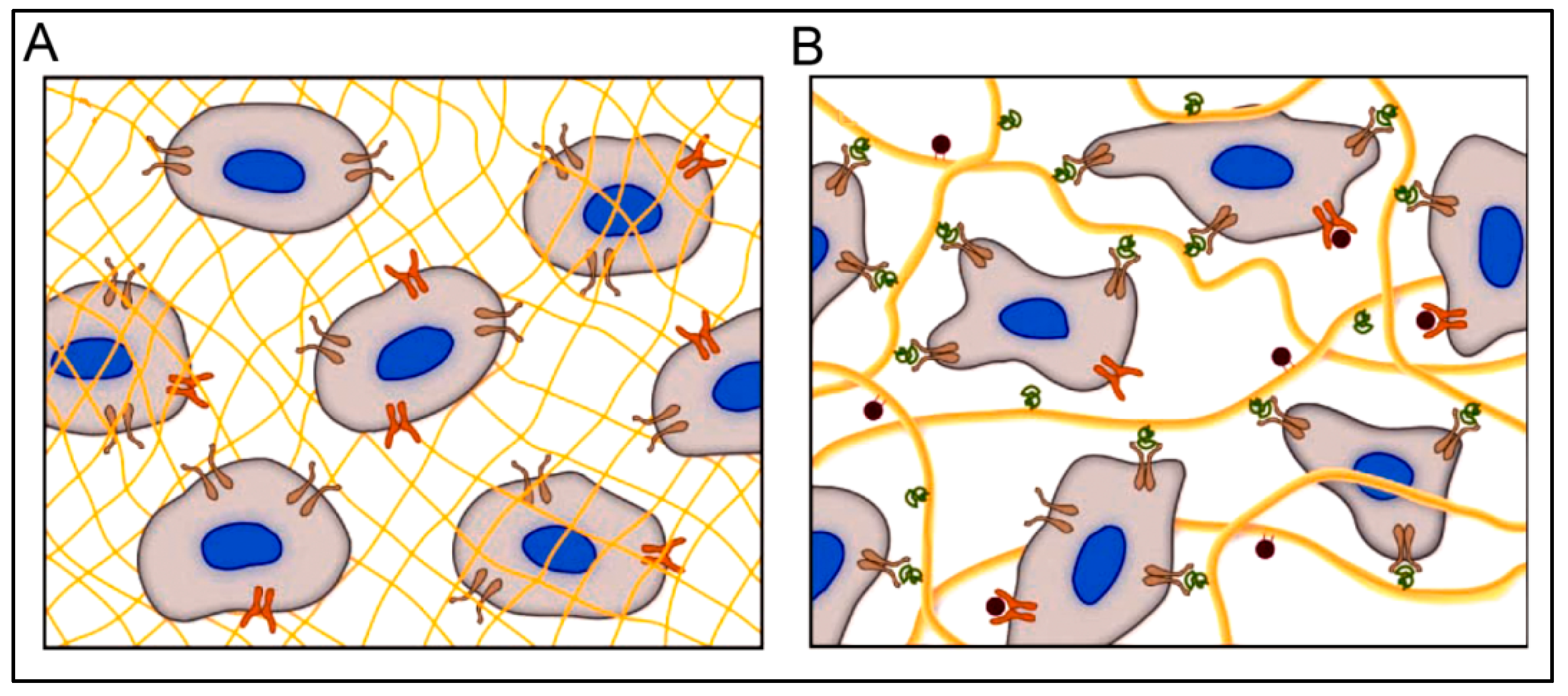 Polymers 15 01160 g003