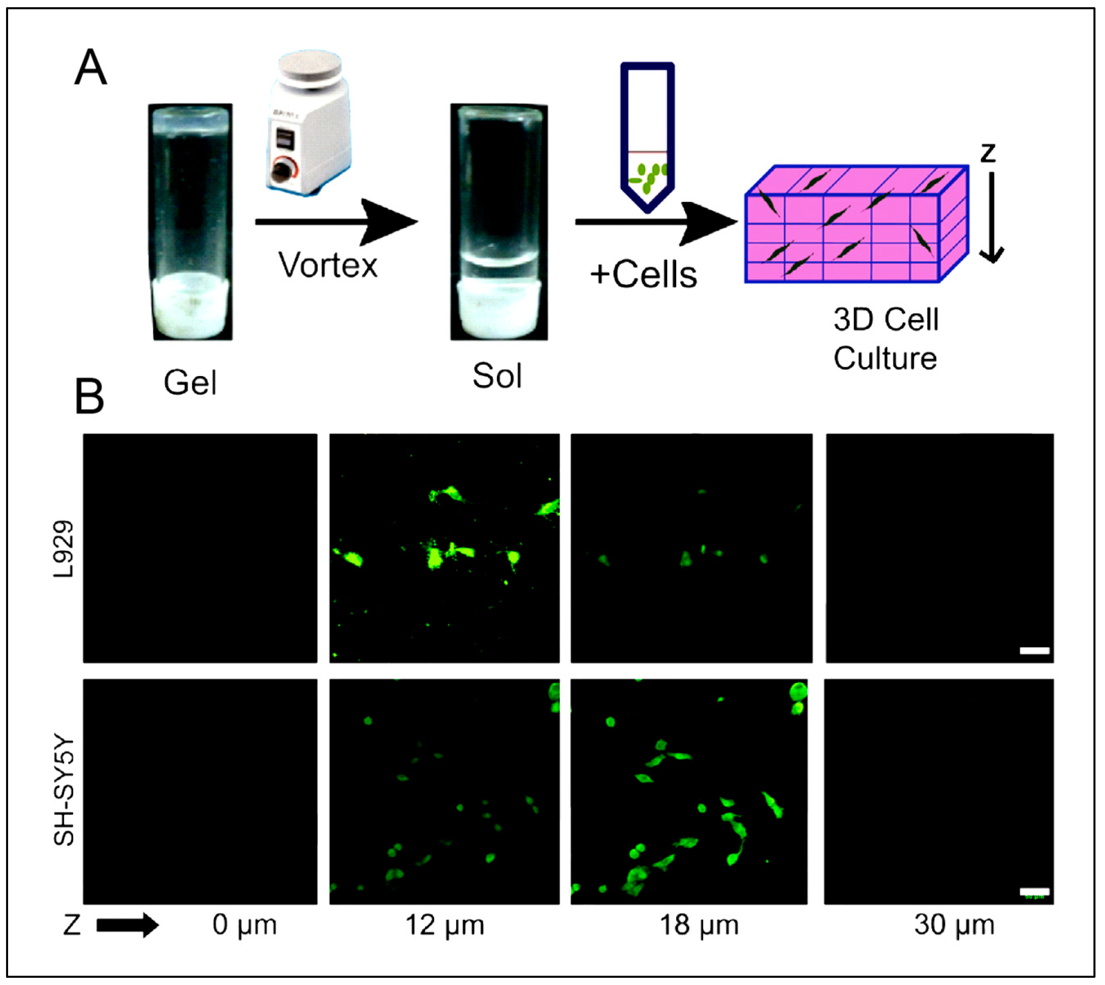 Polymers 15 01160 g004