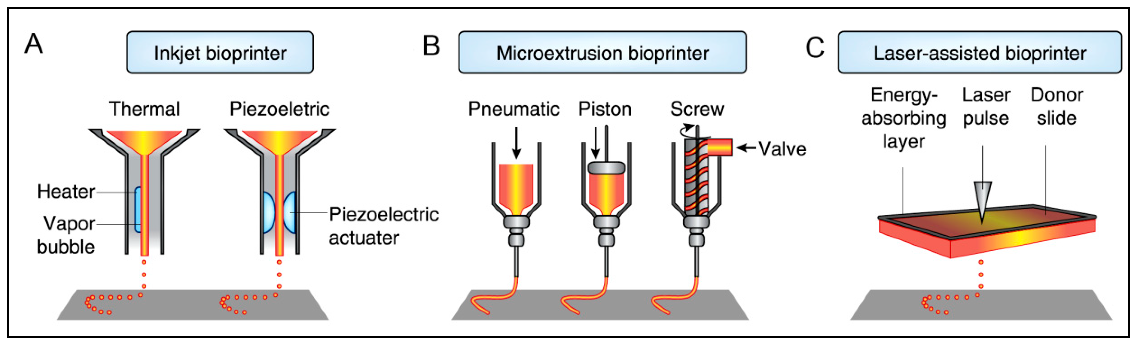 Polymers 15 01160 g005