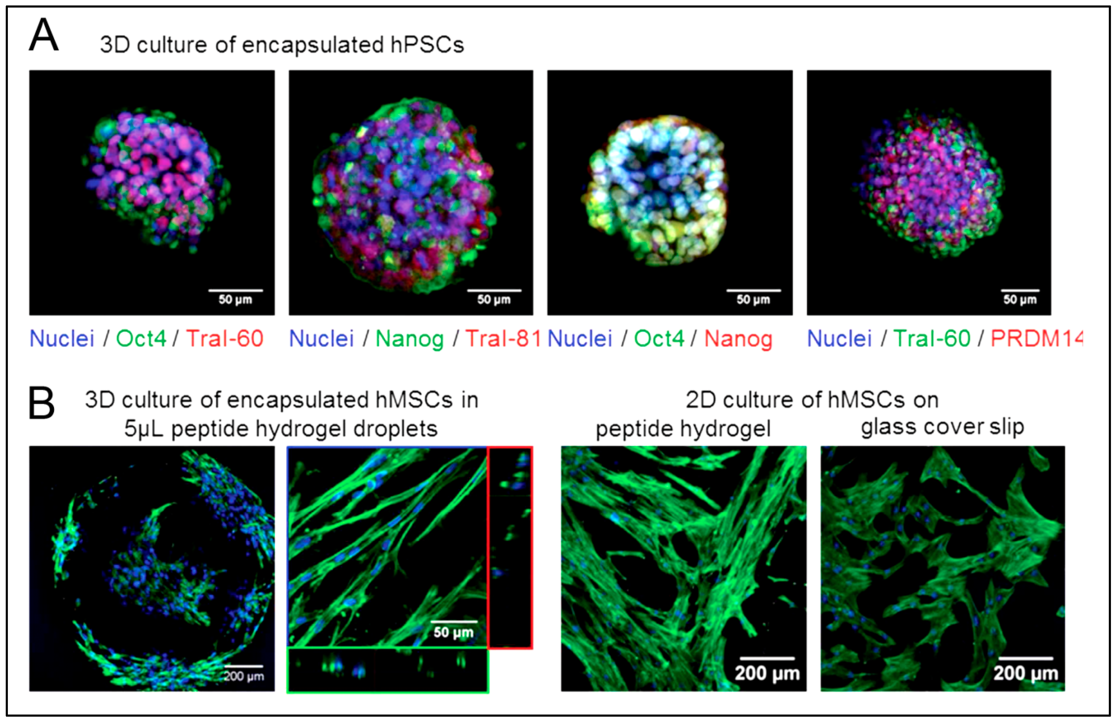 Polymers 15 01160 g006