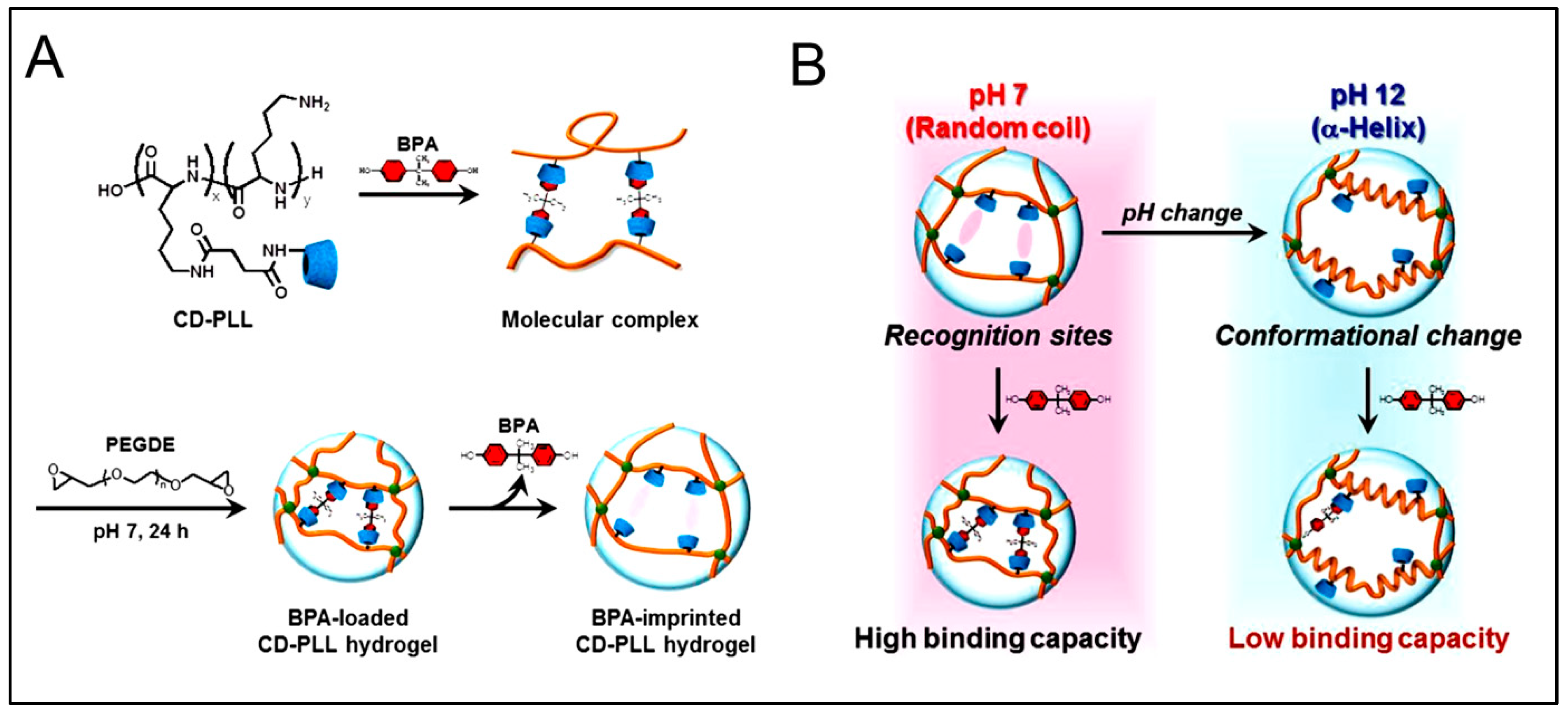 Polymers 15 01160 g007