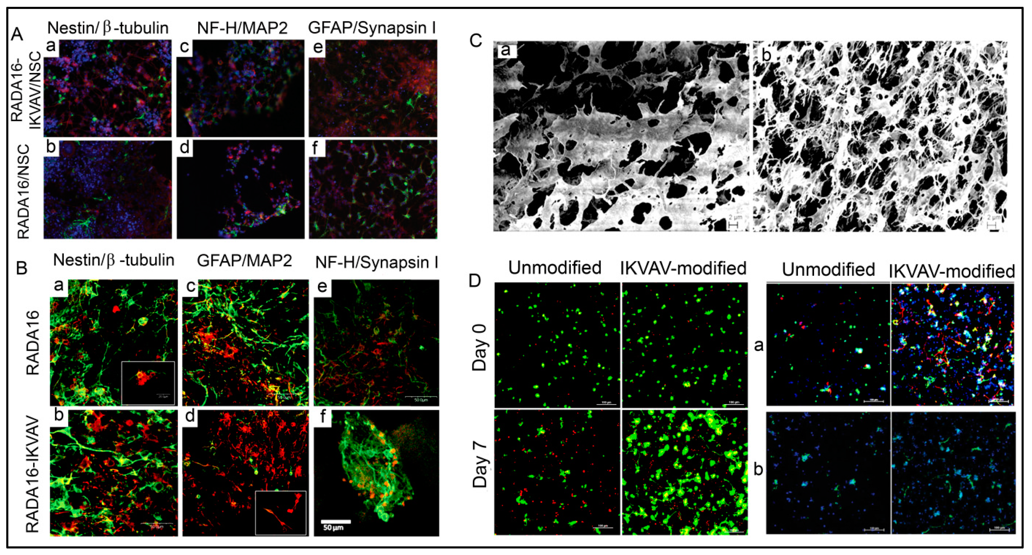 Polymers 15 01160 g010