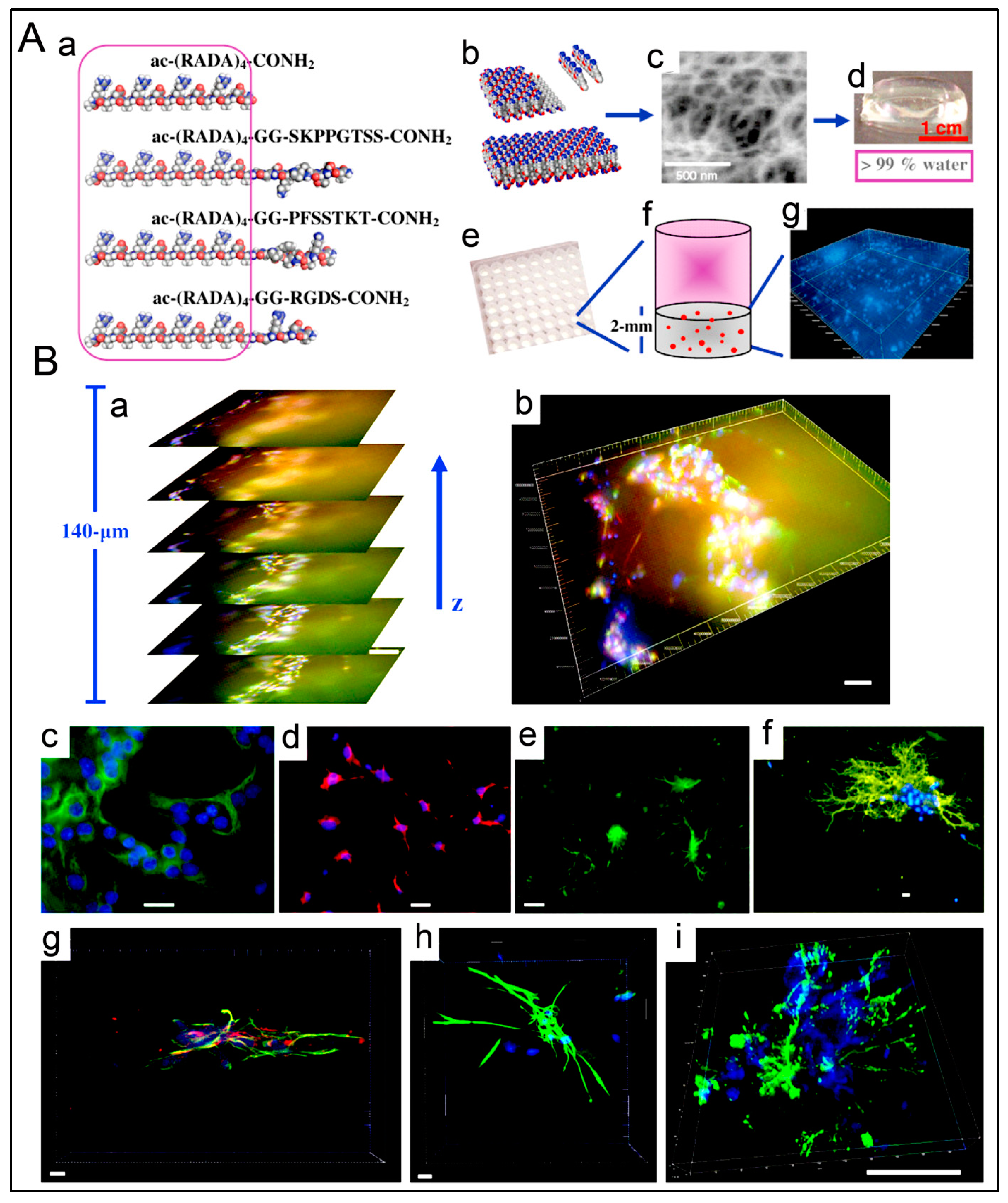 Polymers 15 01160 g011