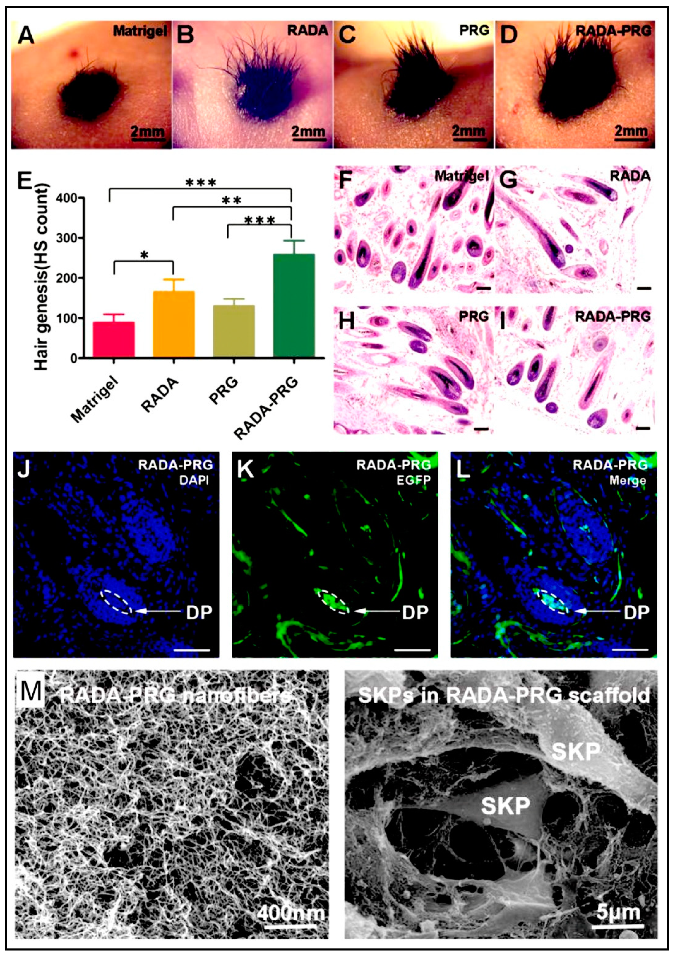 Polymers 15 01160 g012