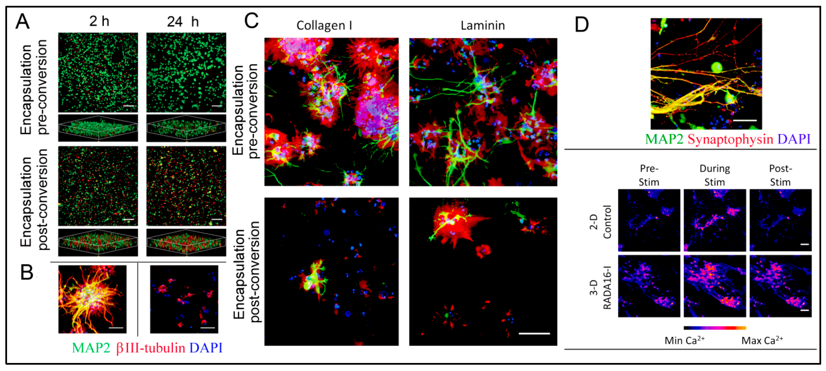 Polymers 15 01160 g014