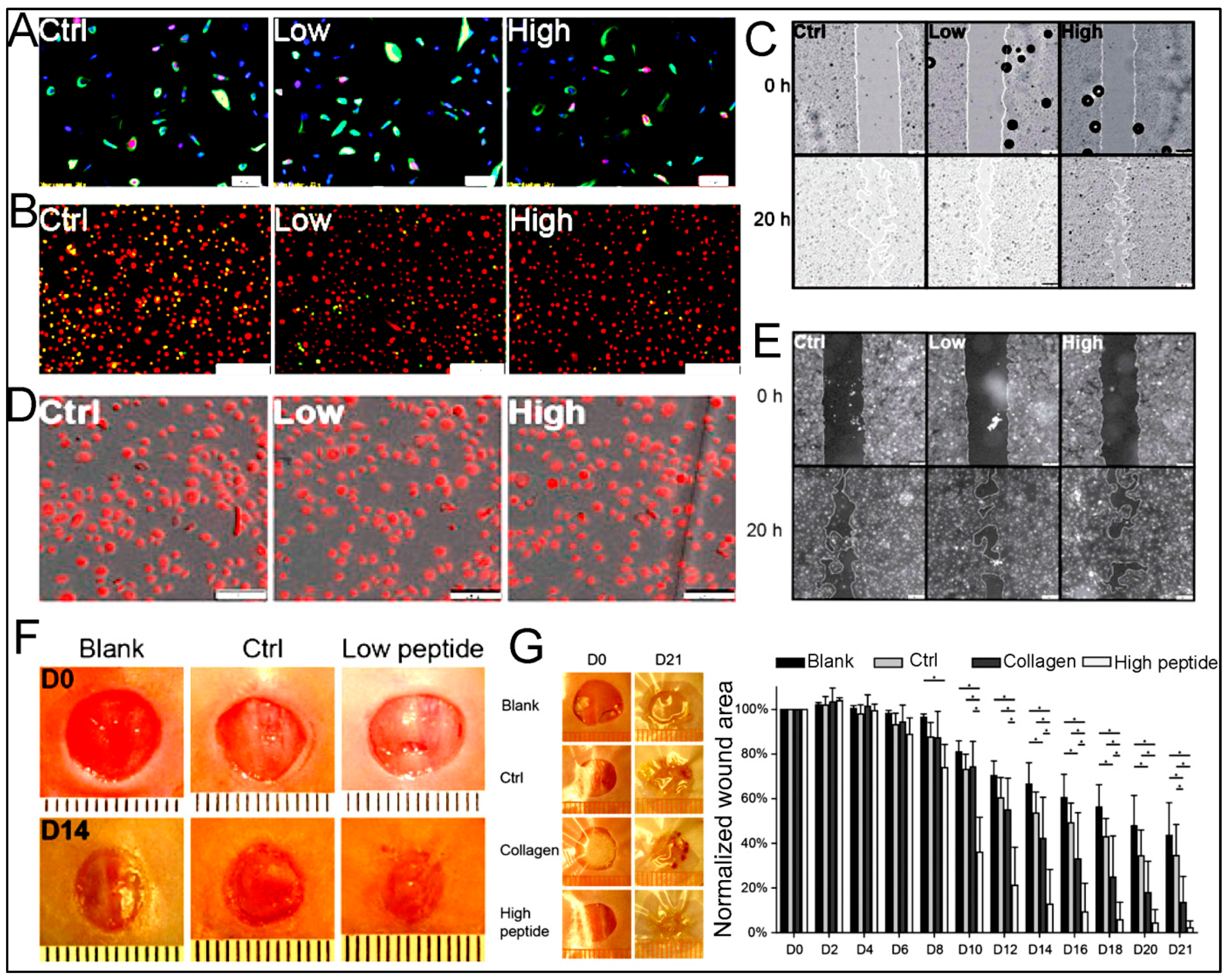 Polymers 15 01160 g015