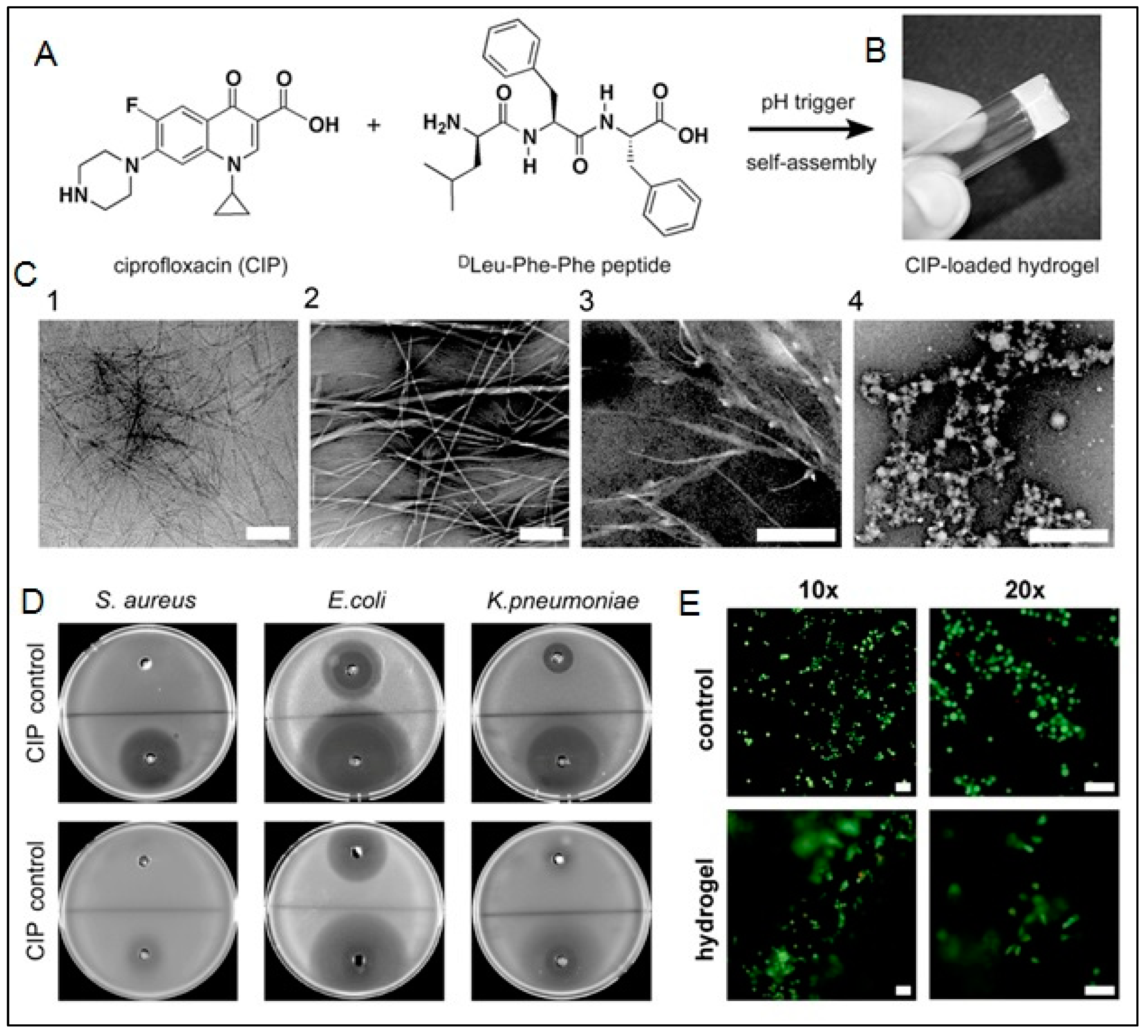 Polymers 15 01160 g017
