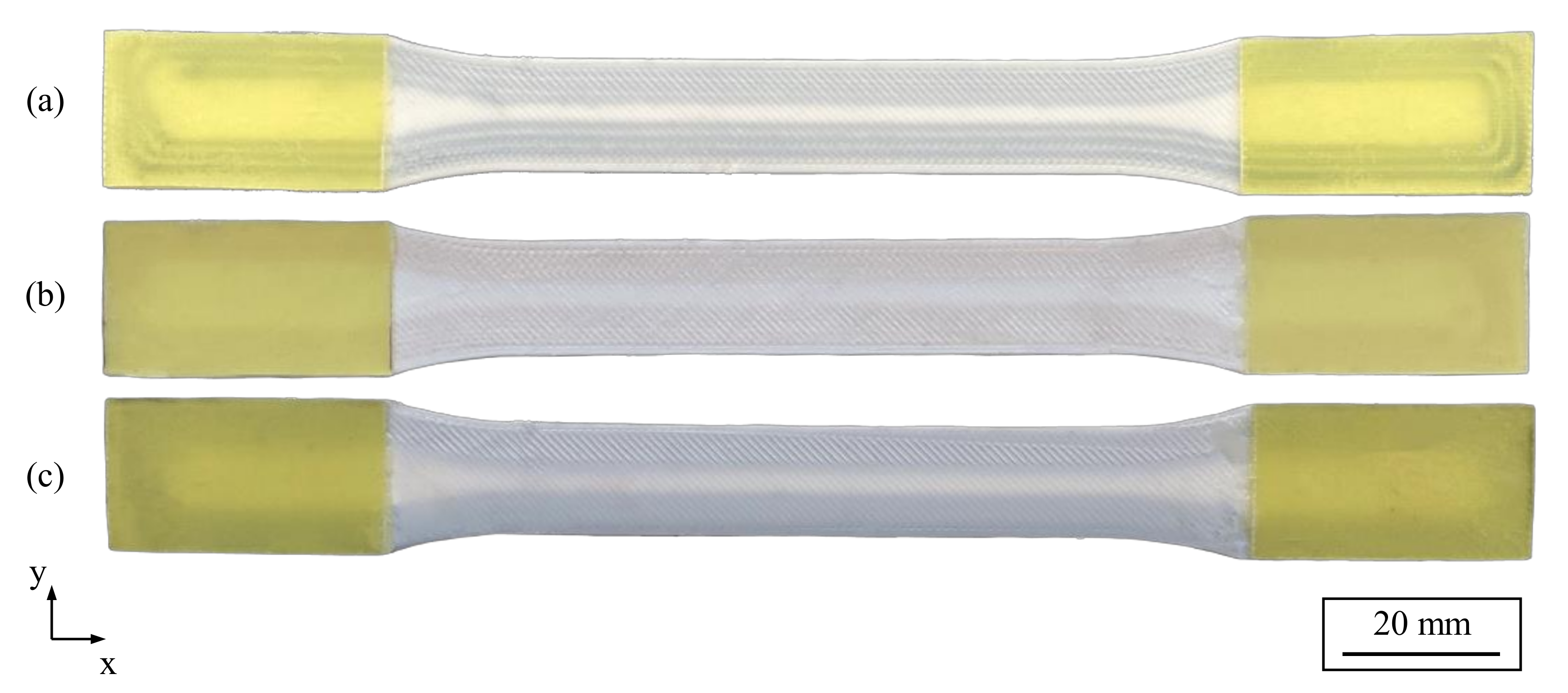 Polymers 15 01164 g005