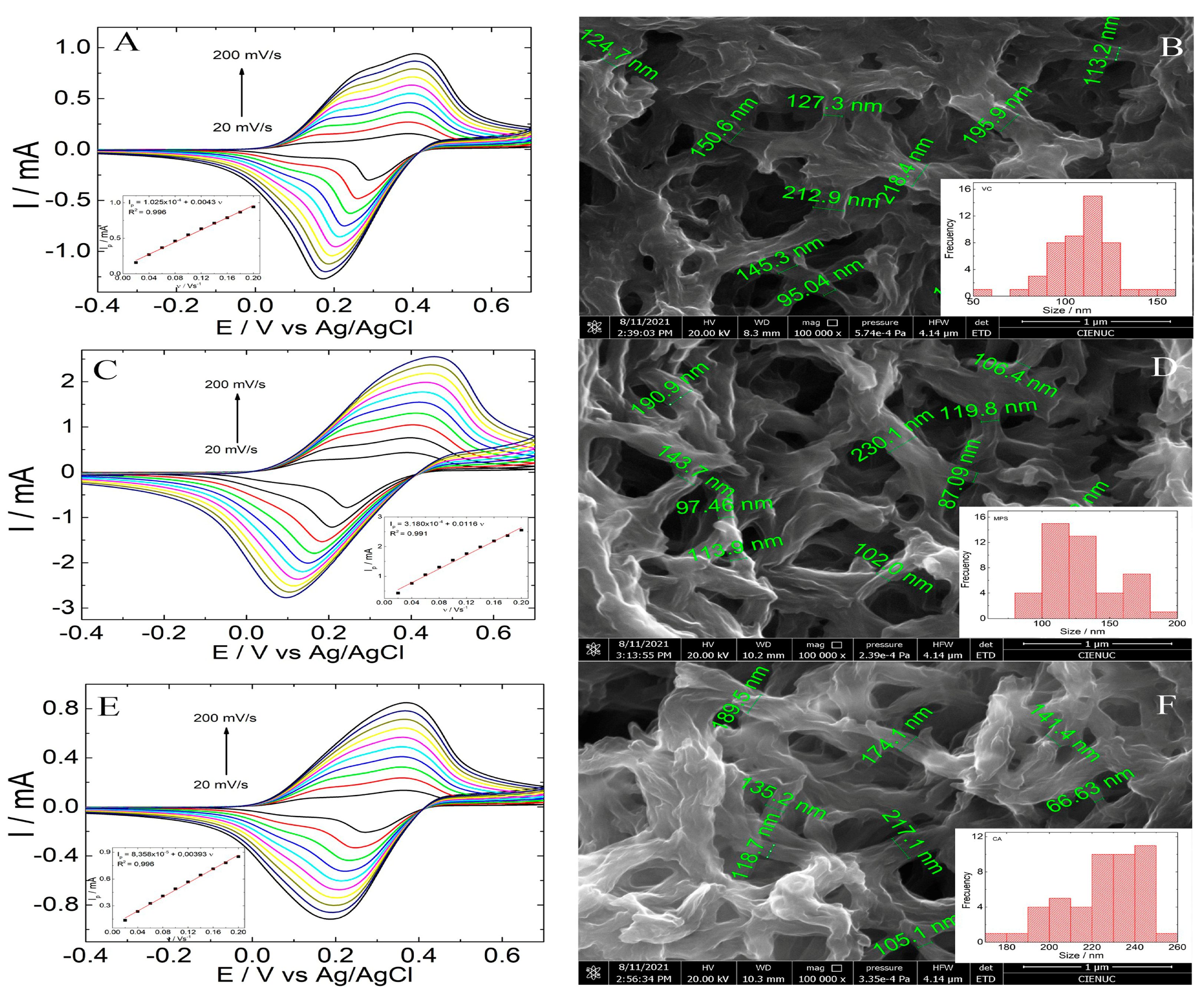 Polymers 15 01168 g001