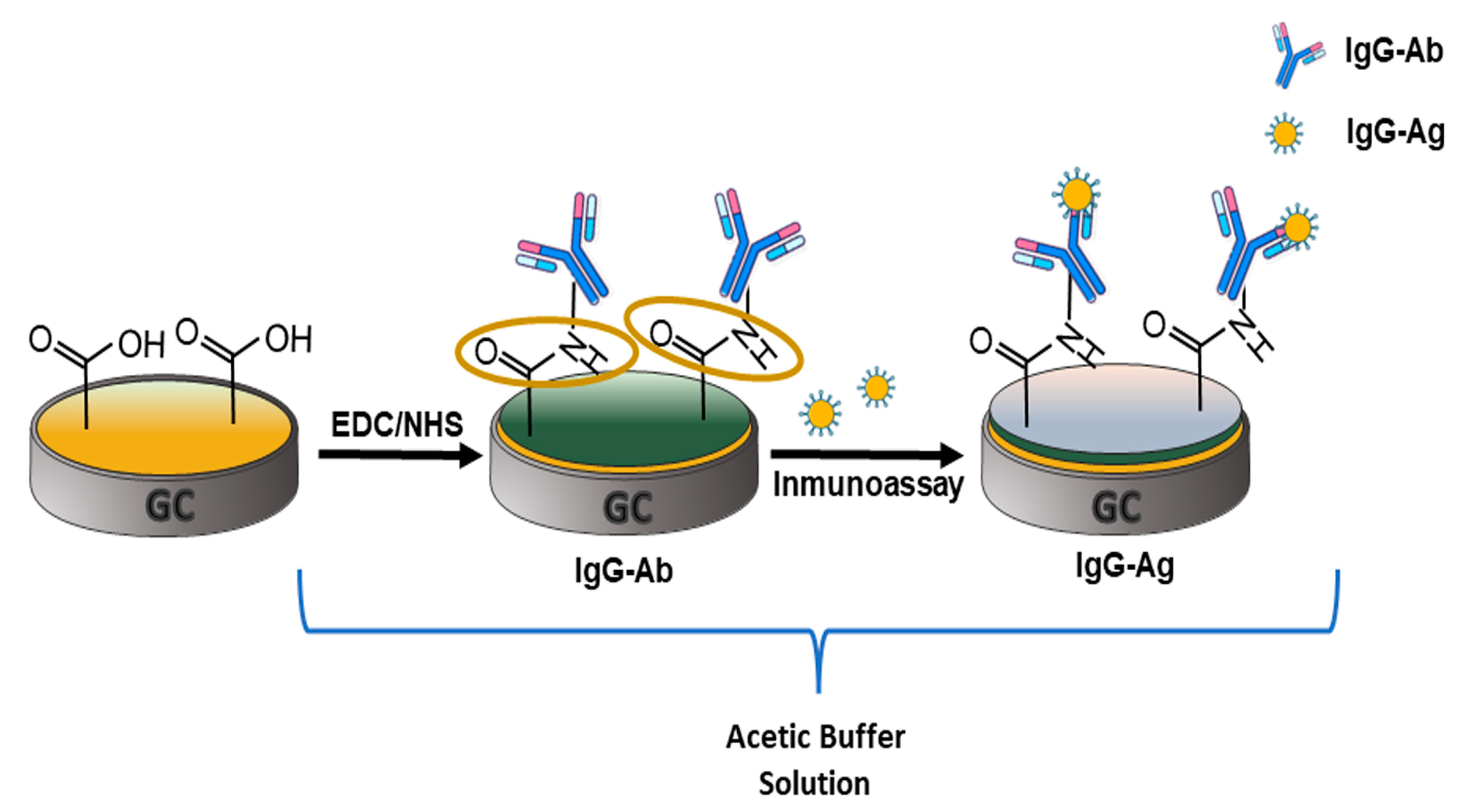 Polymers Free FullText Formation of a Conducting Polymer by