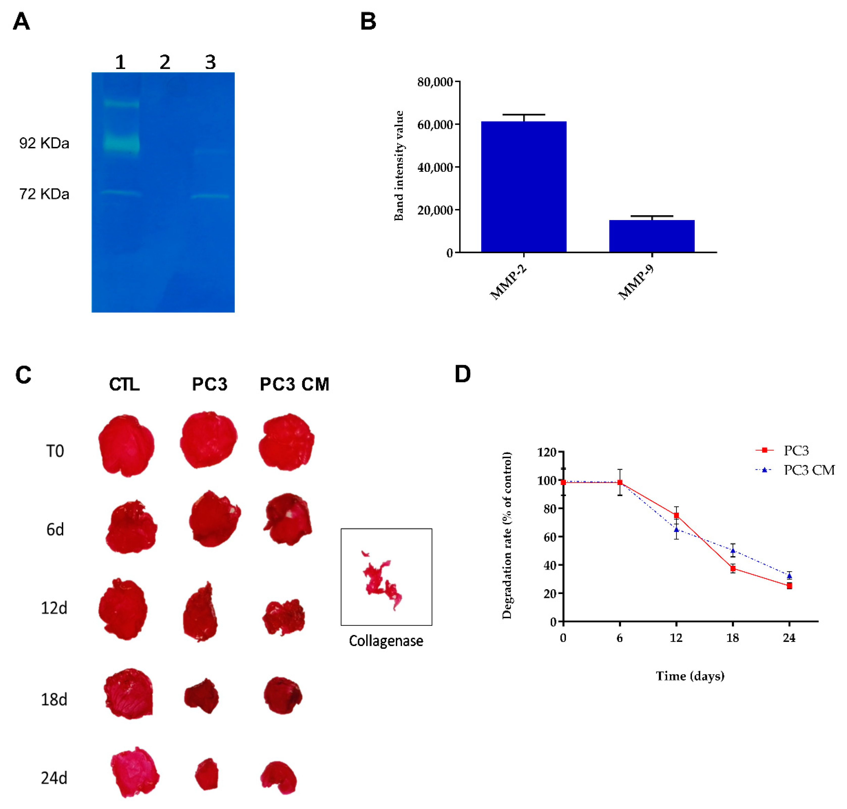 Polymers 15 01172 g001 Polymers 15 01172 g001