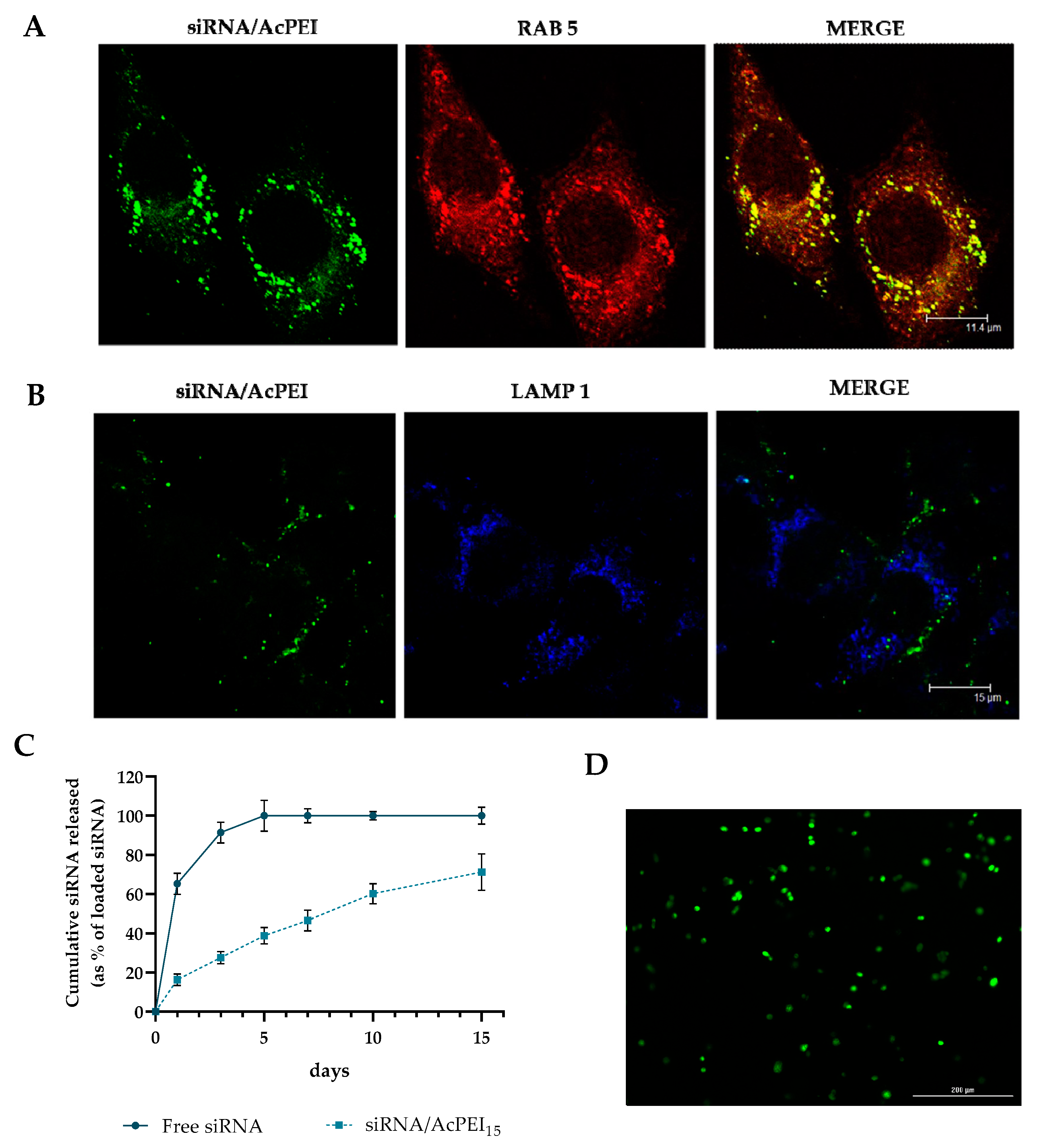 Polymers 15 01172 g003 Polymers 15 01172 g003