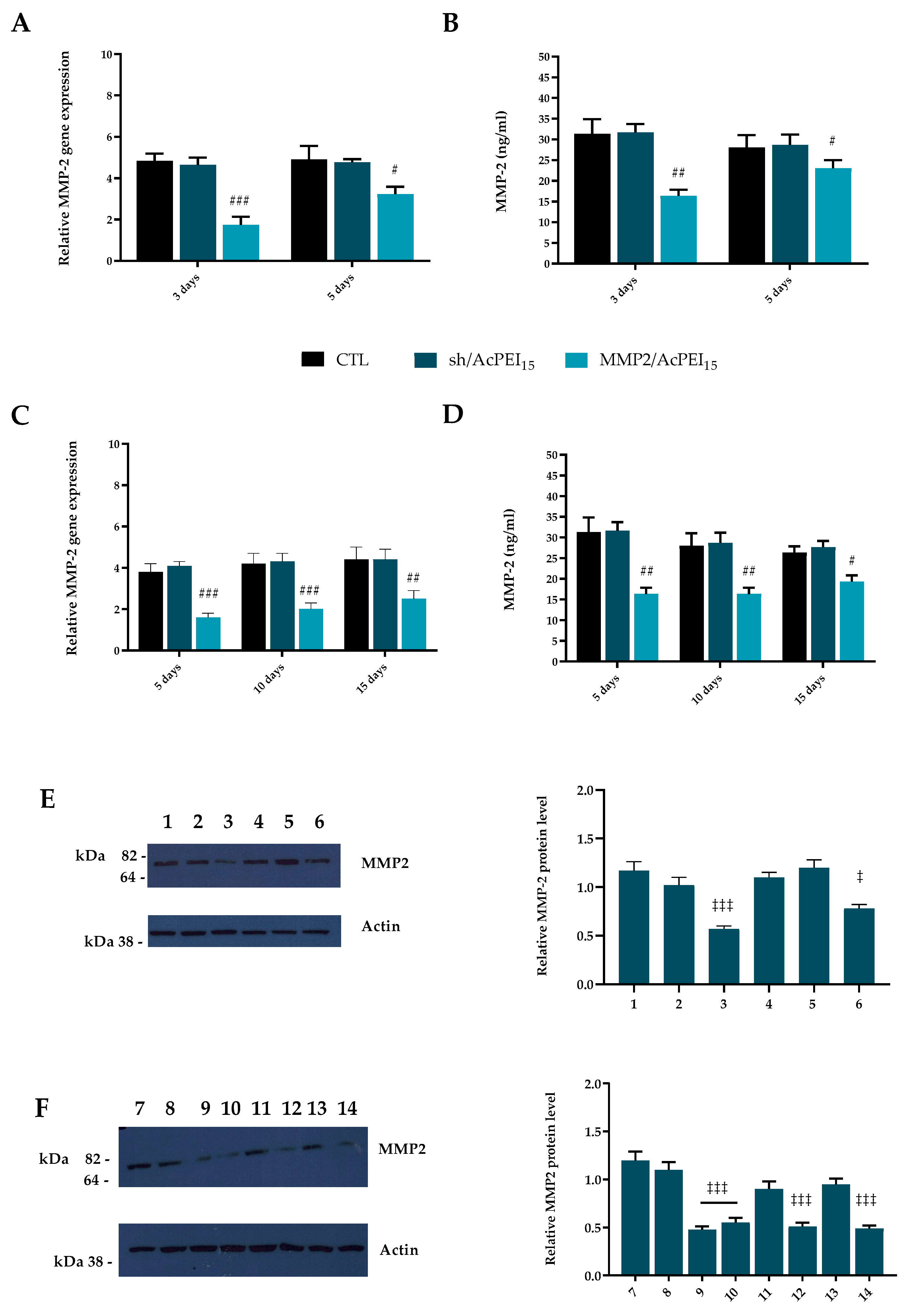 Polymers 15 01172 g004 Polymers 15 01172 g004