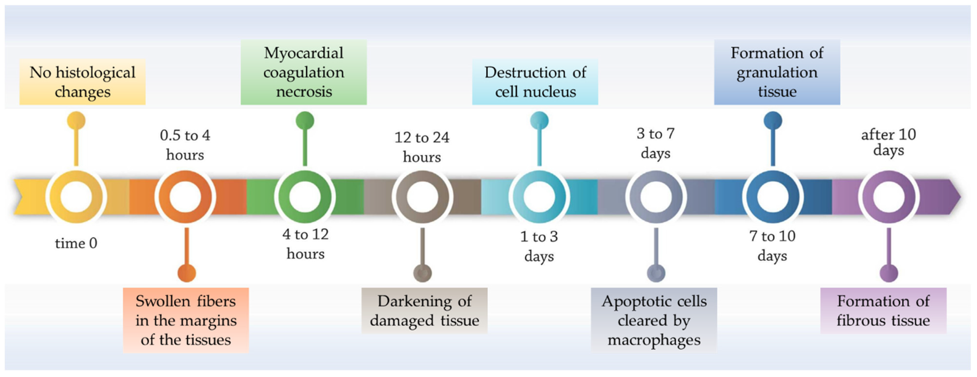 Polymers 15 01177 g001 Polymers 15 01177 g001