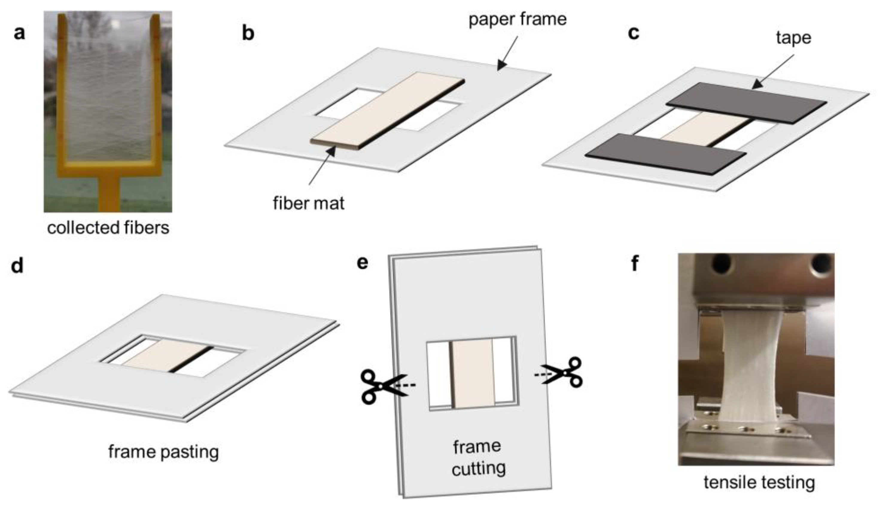 Polymers 15 01181 g001 Polymers 15 01181 g001