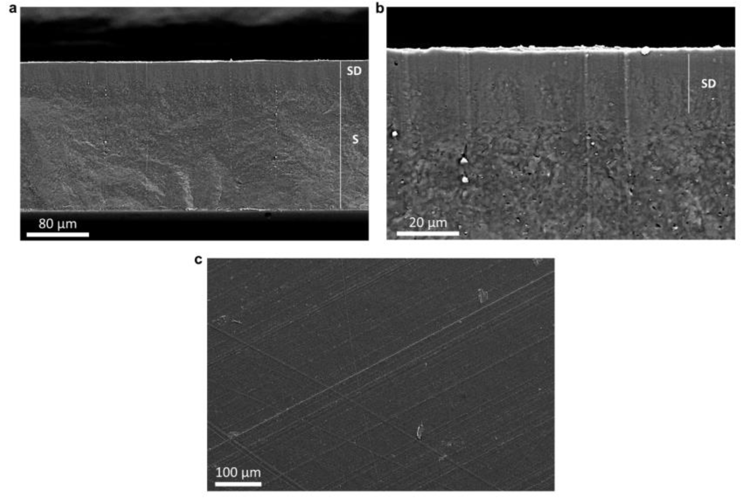 Polymers 15 01181 g008 Polymers 15 01181 g008