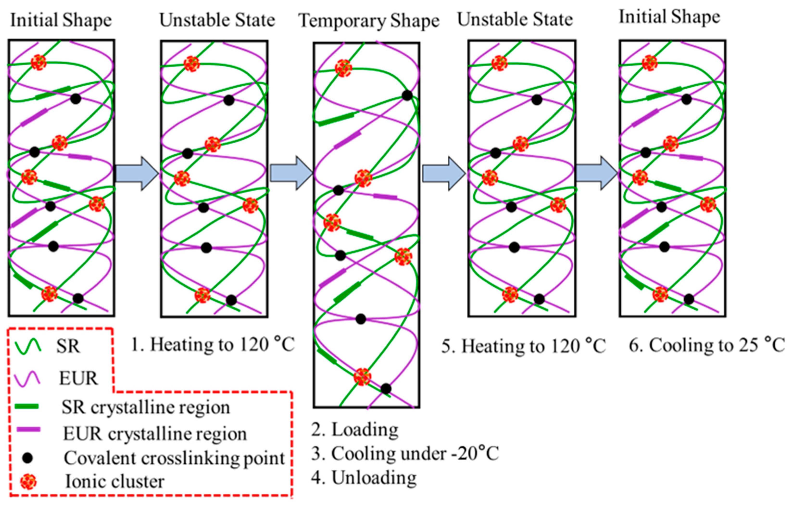 Polymers 15 01182 g004