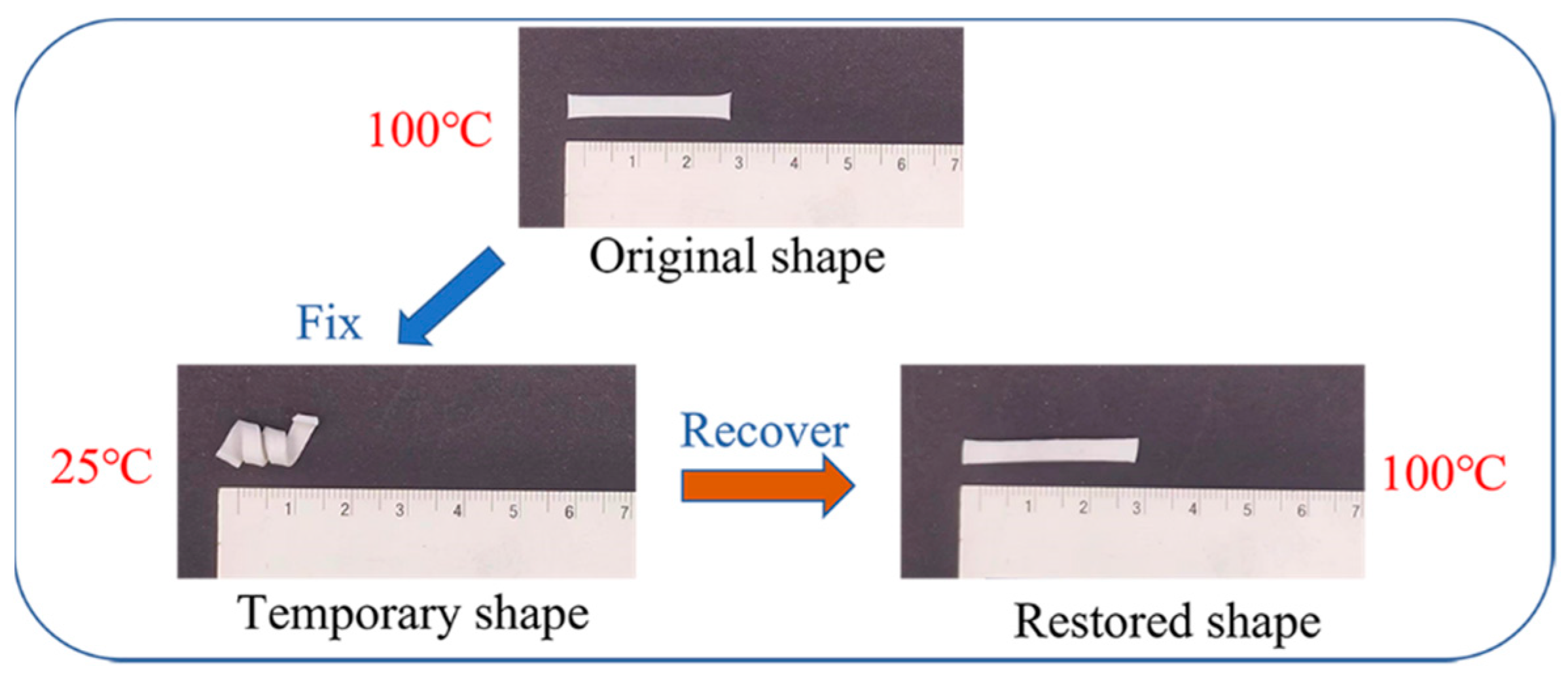 Polymers 15 01182 g005