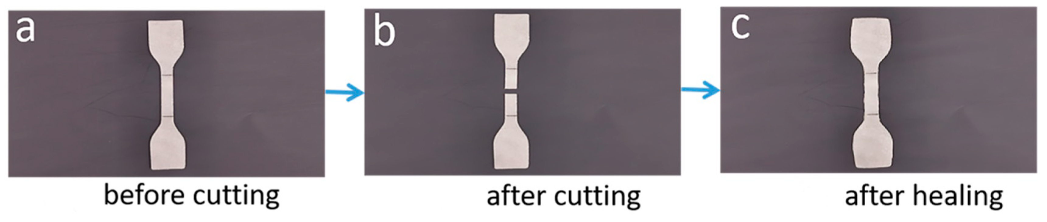 Polymers 15 01182 g006