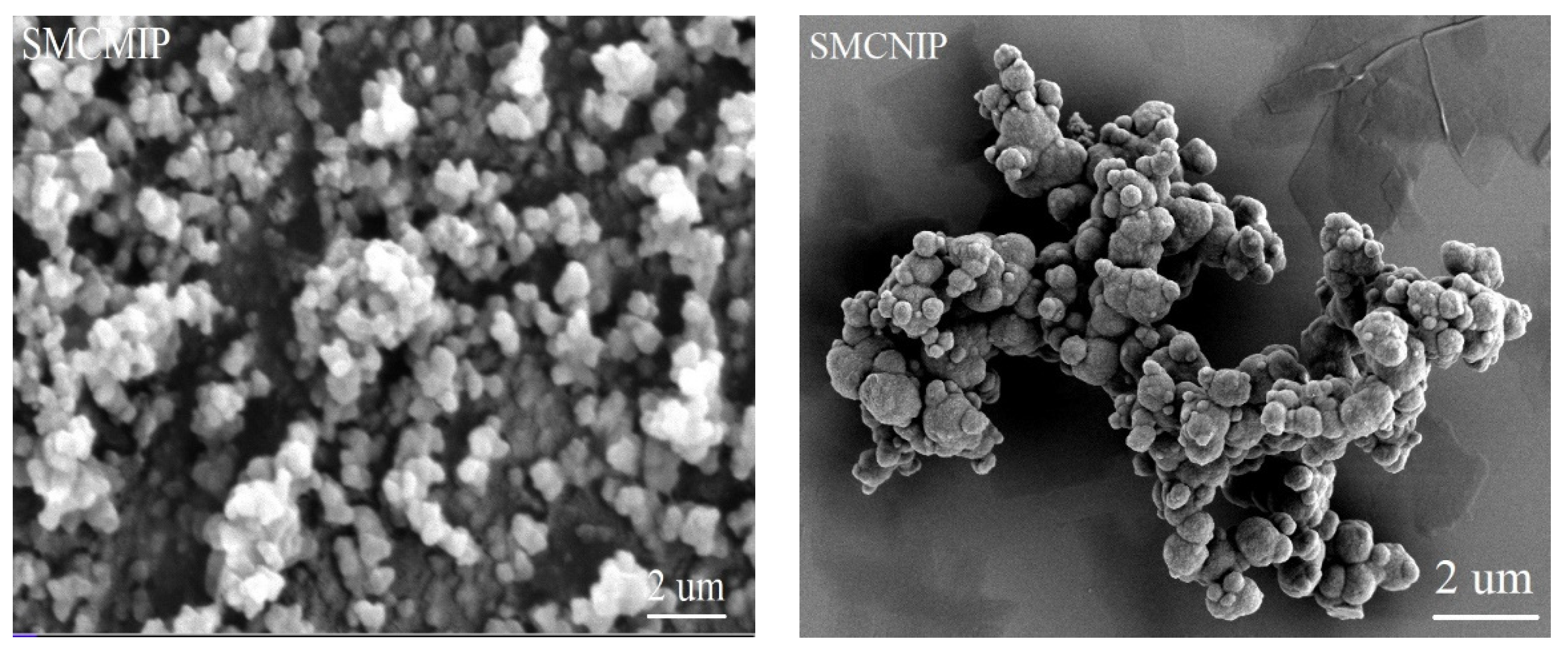 Polymers 15 01187 g005 Polymers 15 01187 g005