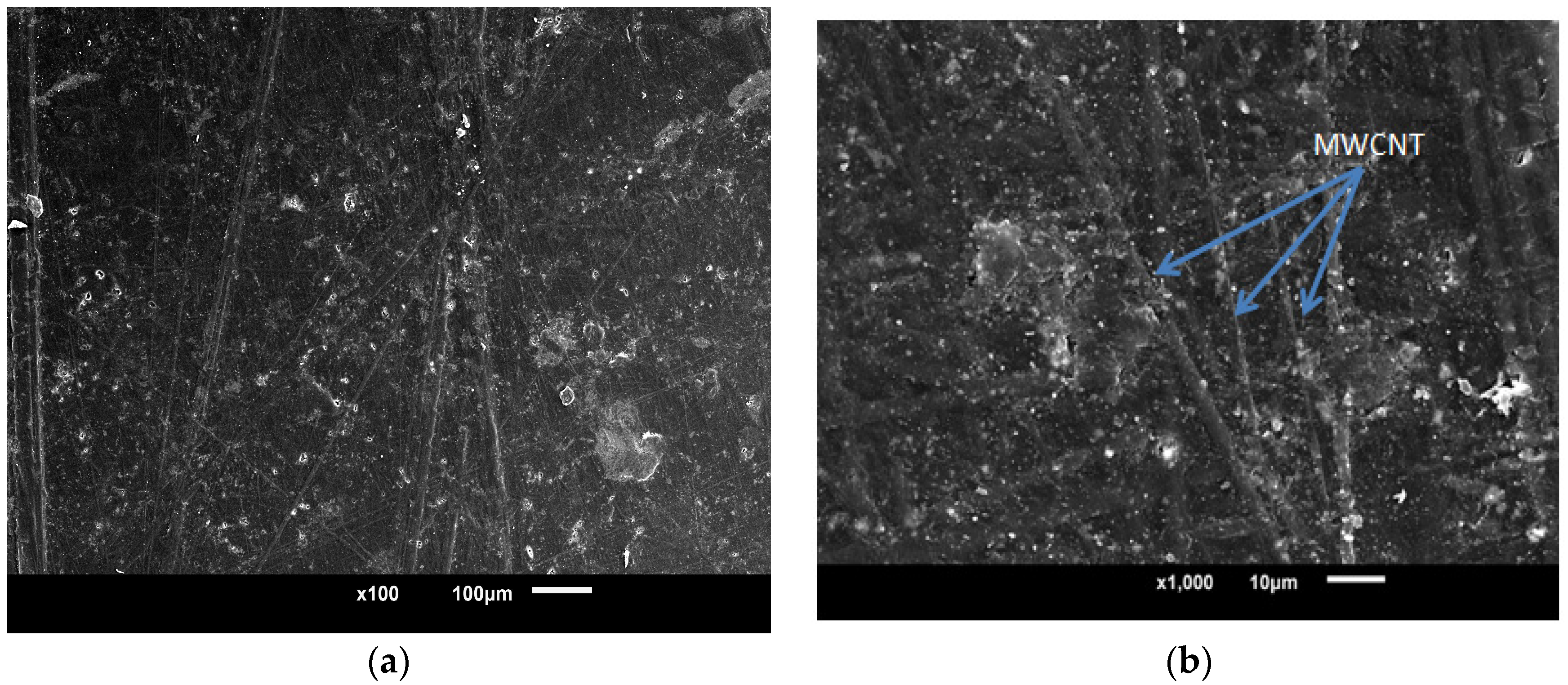 Polymers 15 01192 g007 Polymers 15 01192 g007
