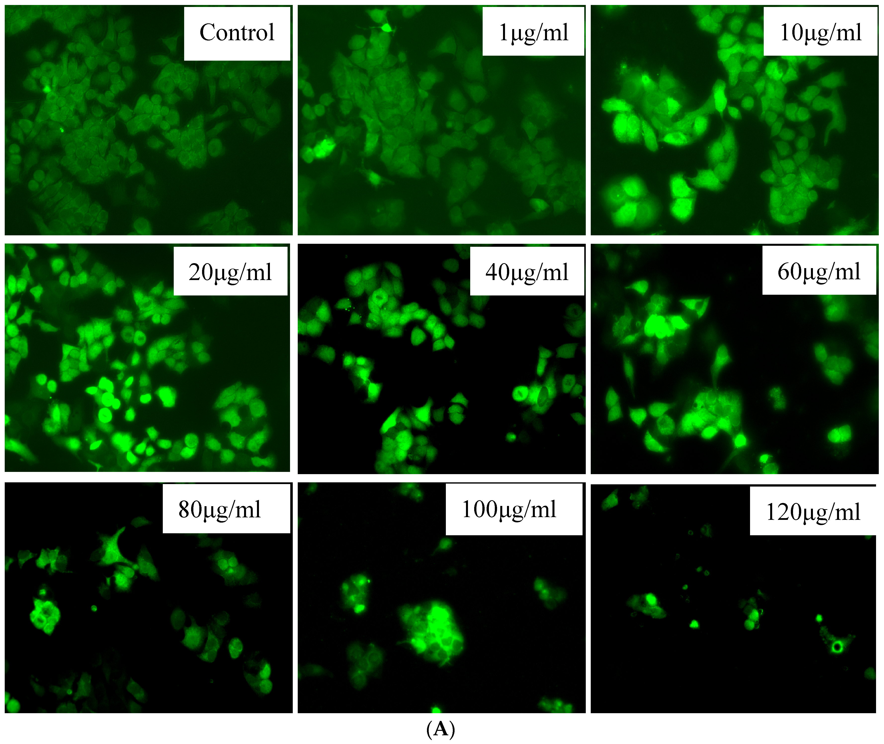 Polymers 15 01192 g010a Polymers 15 01192 g010a