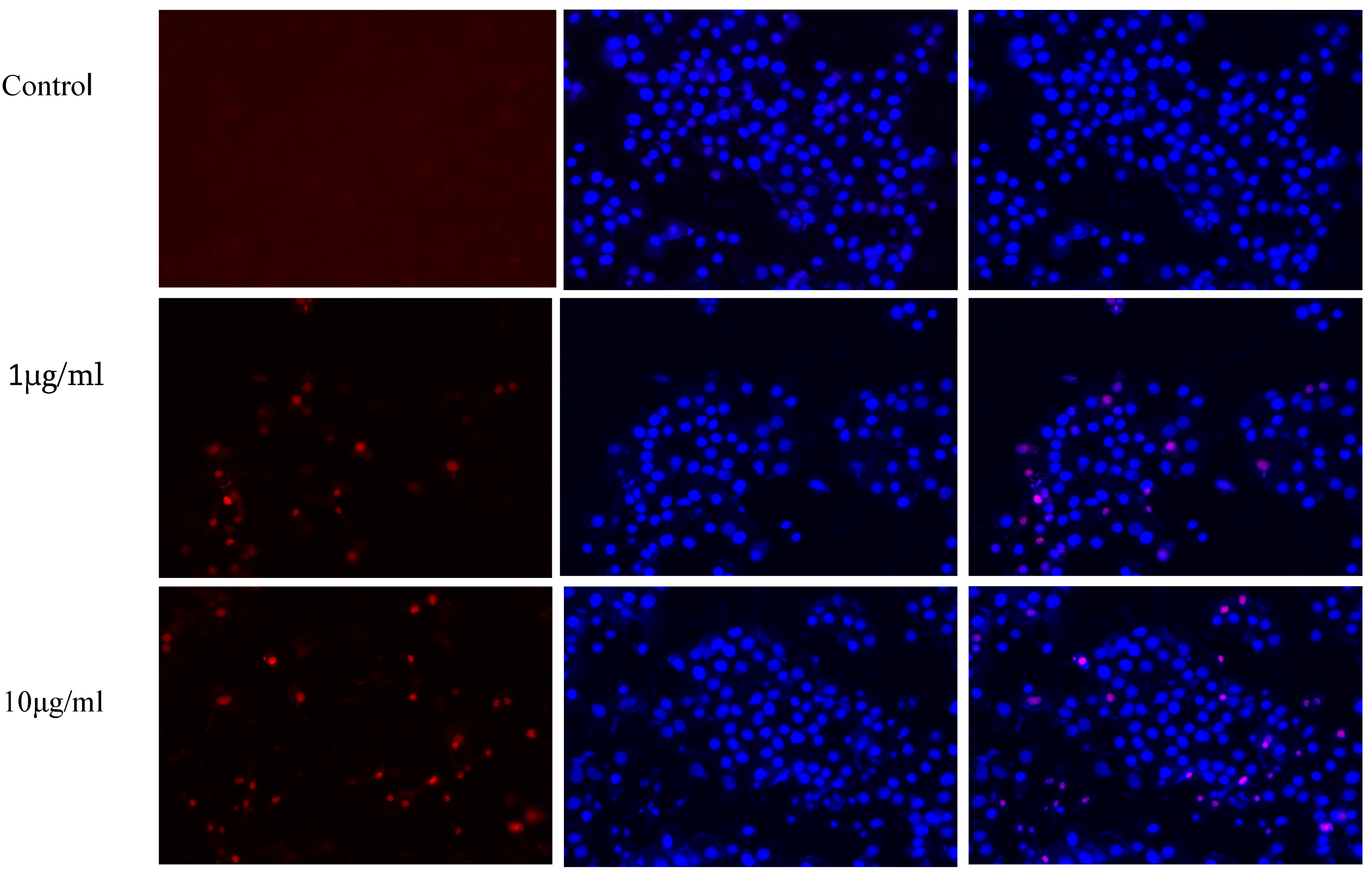 Polymers 15 01192 g011 Polymers 15 01192 g011