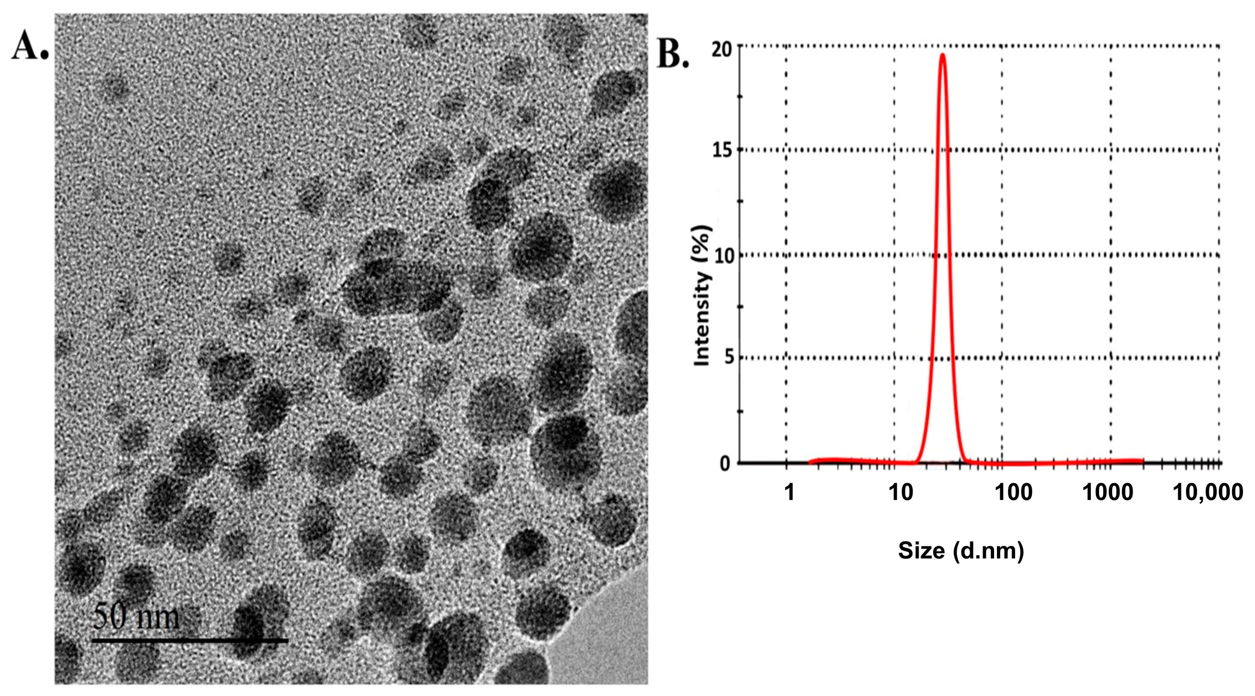 Polymers 15 01193 g001 Polymers 15 01193 g001