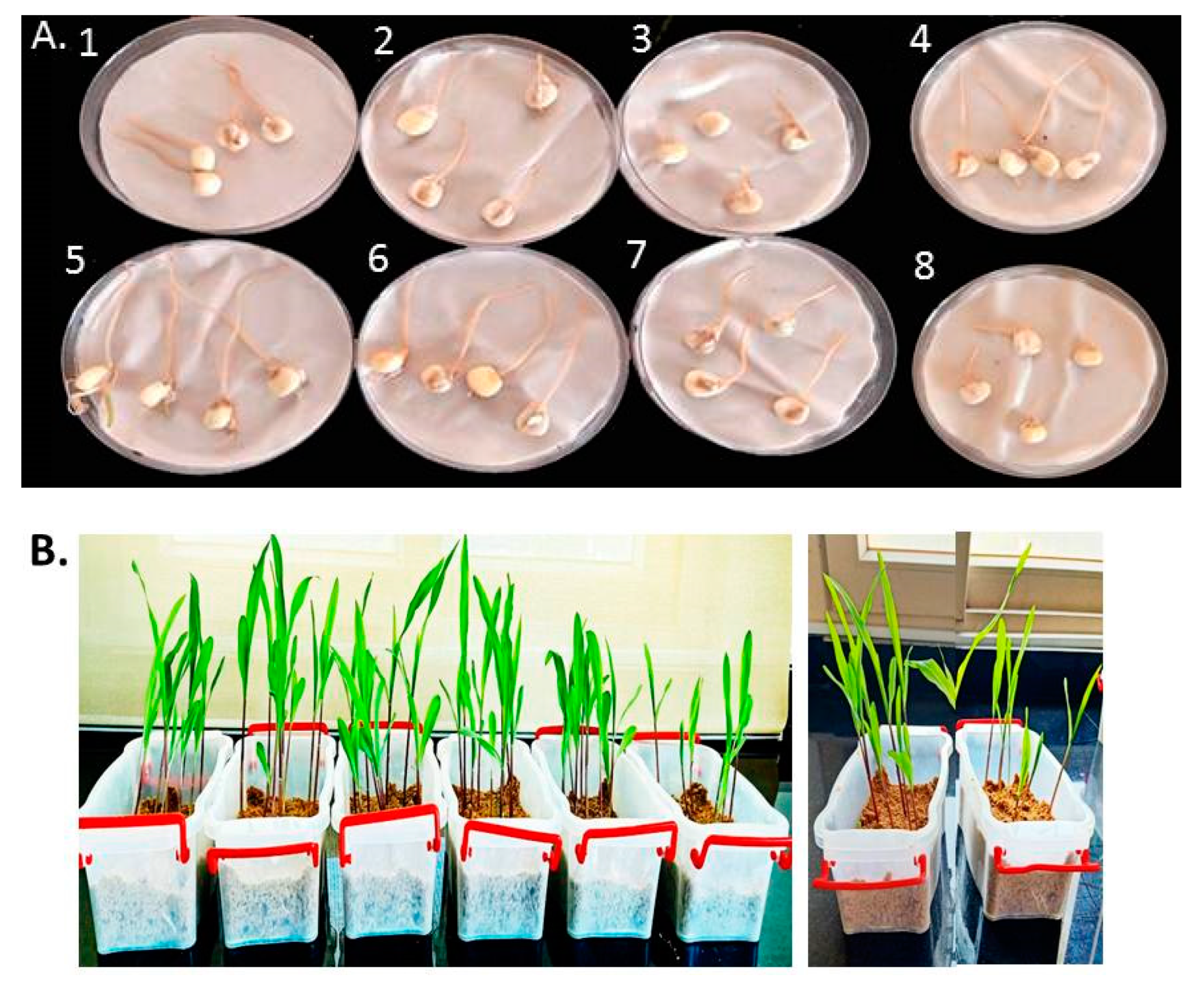 Polymers 15 01193 g003 Polymers 15 01193 g003