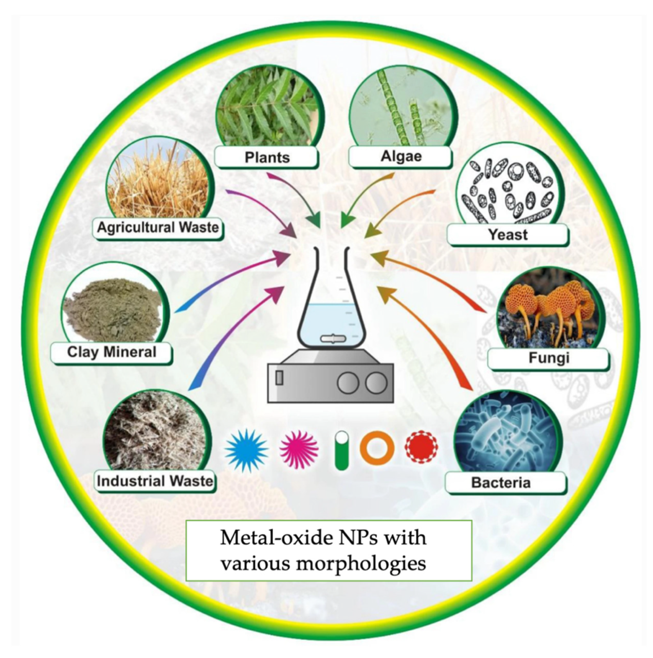 Polymers 15 01196 g004 Polymers 15 01196 g004