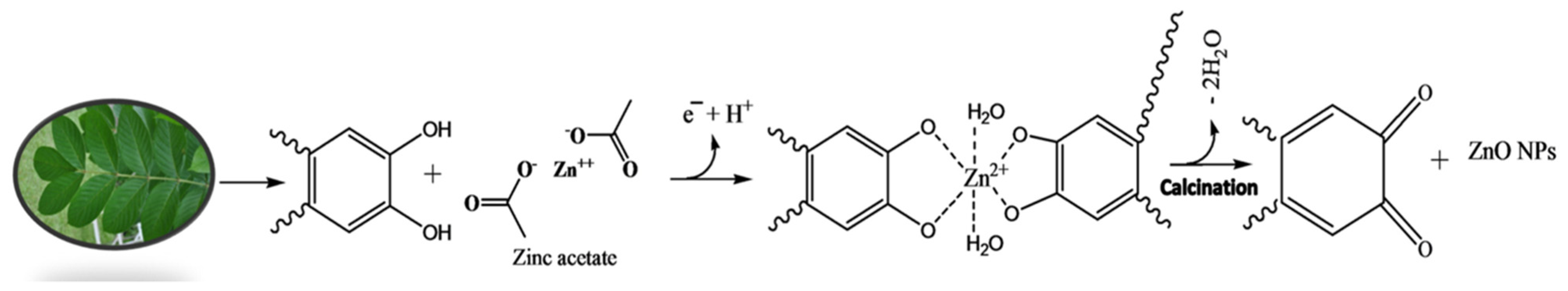 Polymers 15 01196 g005 Polymers 15 01196 g005