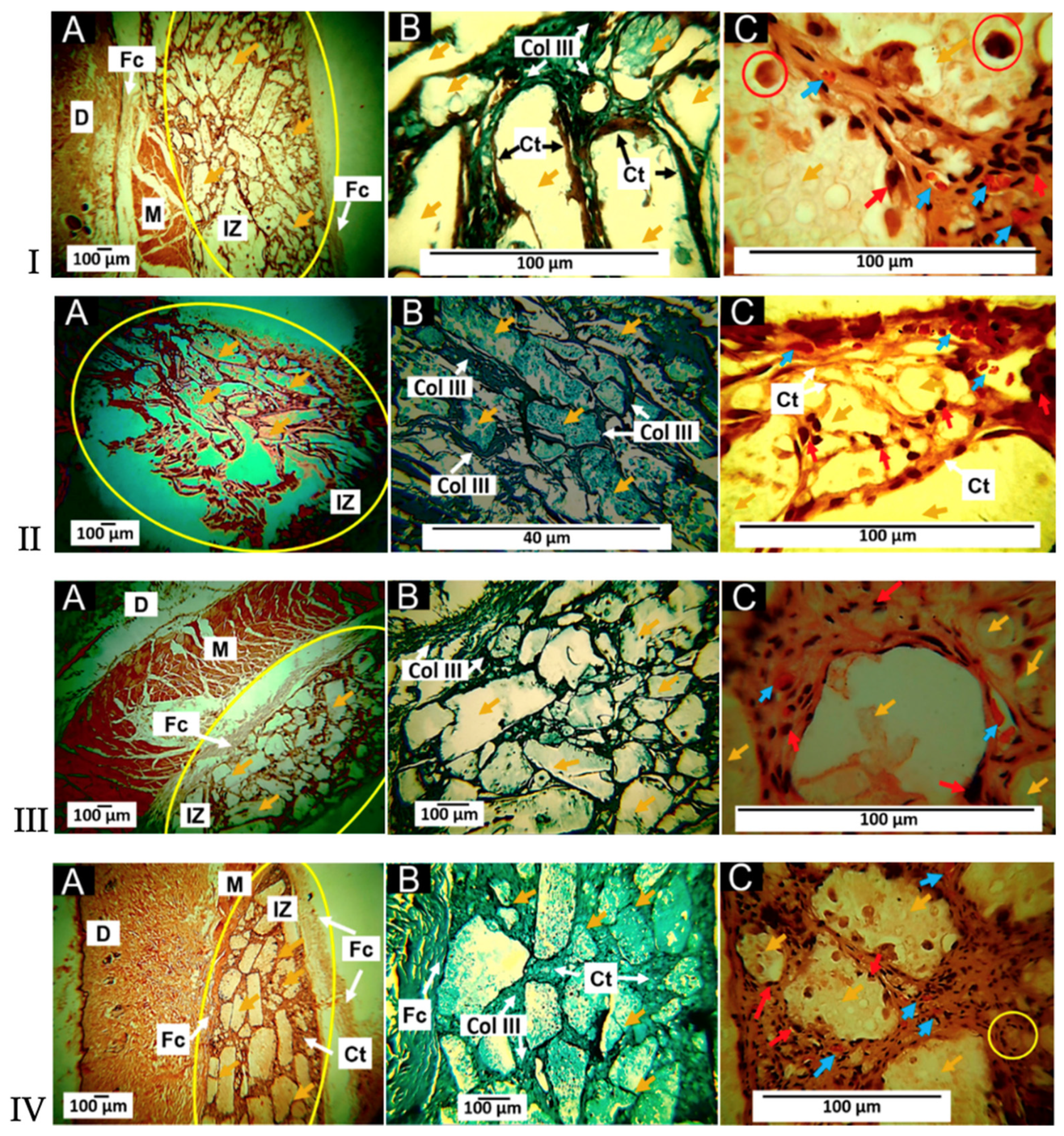 Polymers 15 01196 g014 Polymers 15 01196 g014
