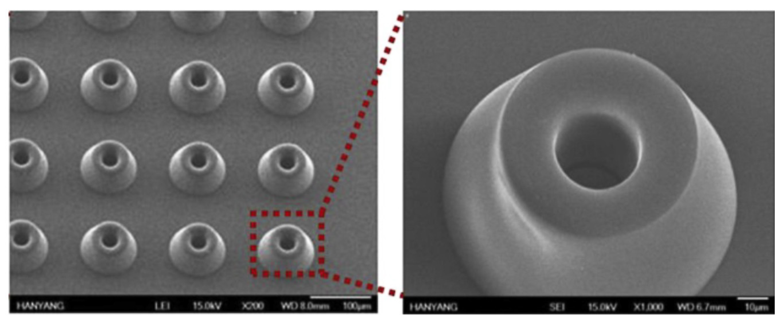 Polymers 15 01196 g017 Polymers 15 01196 g017