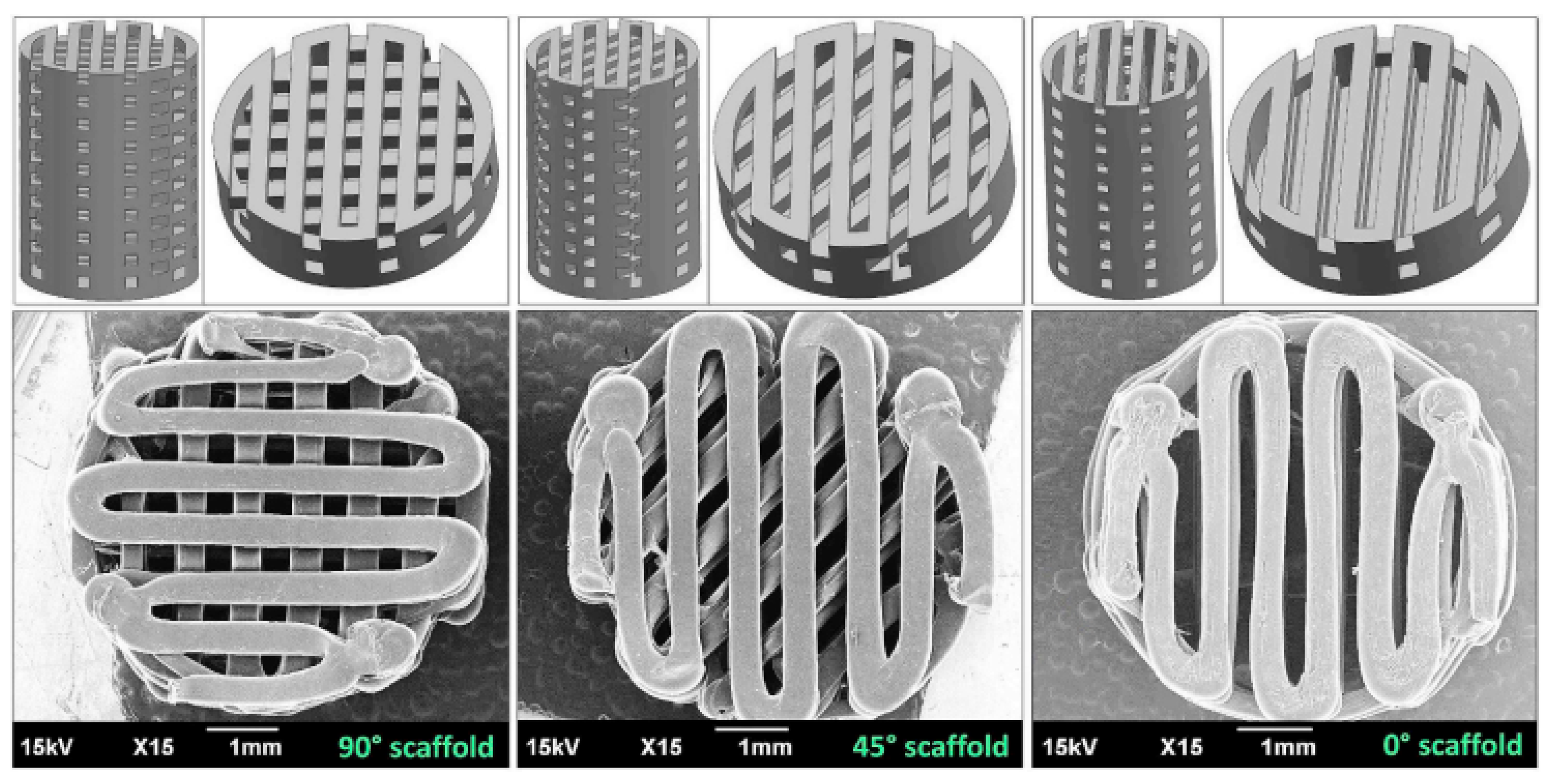 Polymers 15 01196 g024 Polymers 15 01196 g024