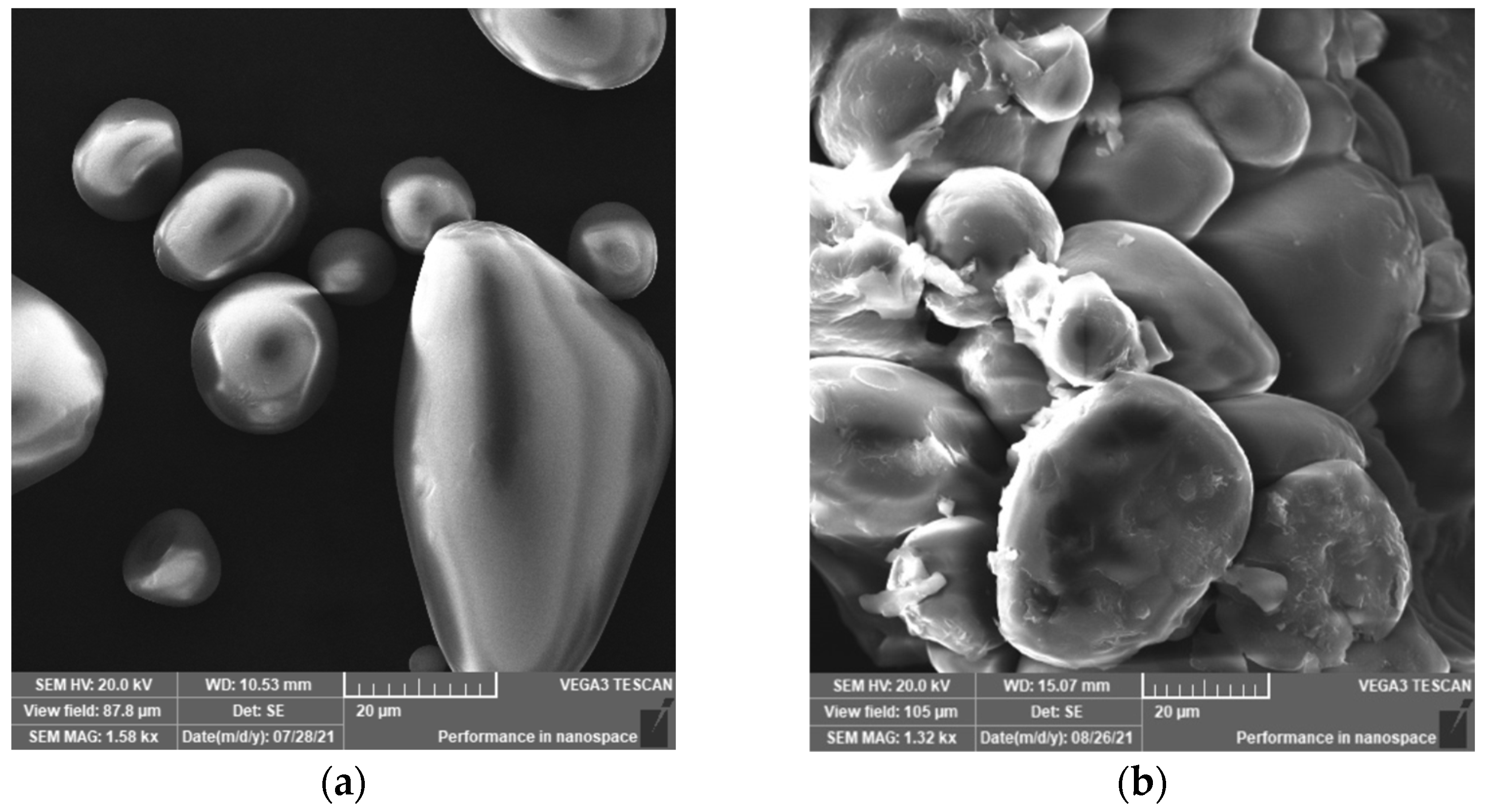 Polymers 15 01197 g009 Polymers 15 01197 g009
