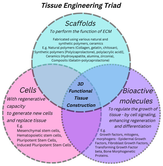 Biofunctionalization and Applications of Polymeric Nanofibers in 