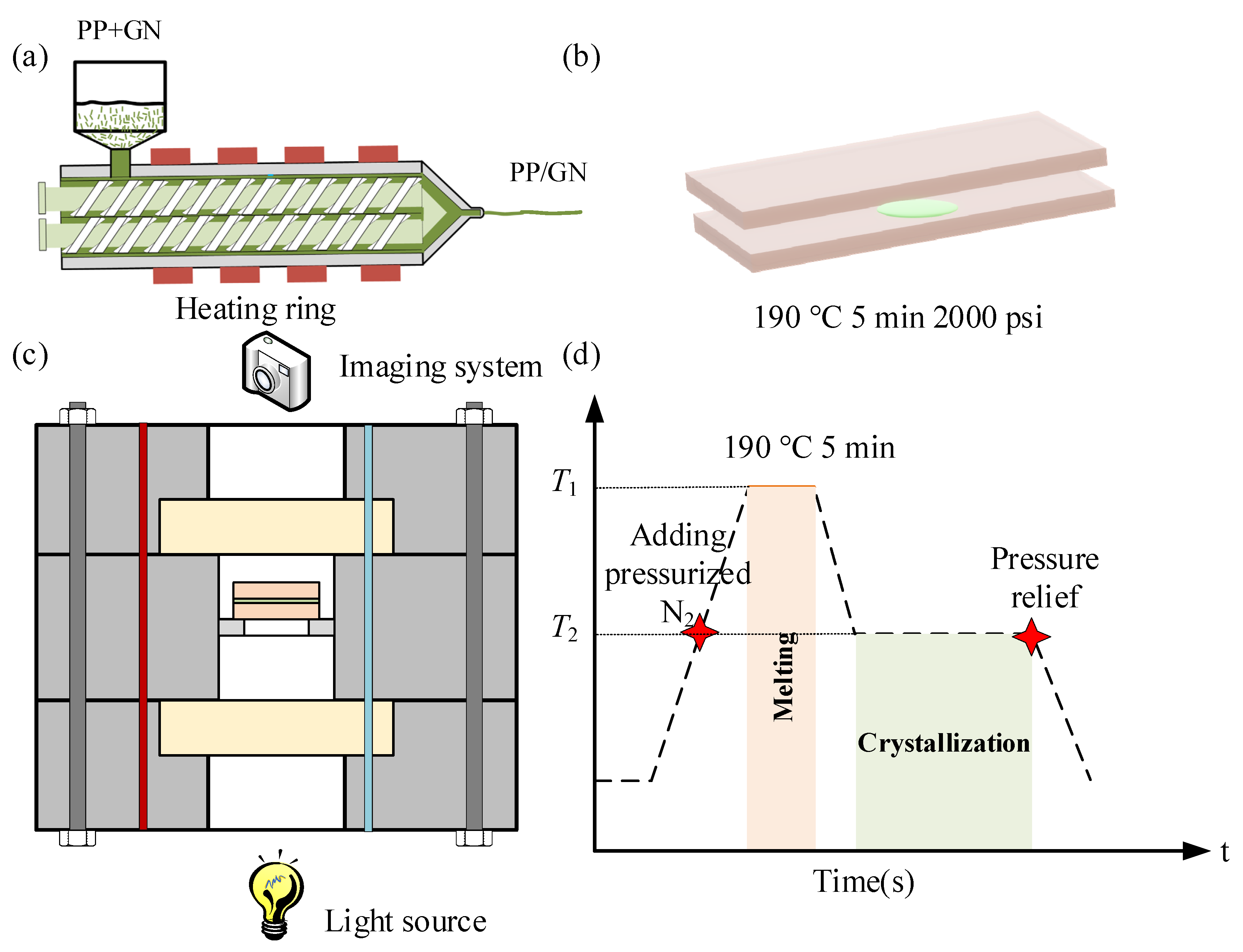 Polymers 15 01204 g001