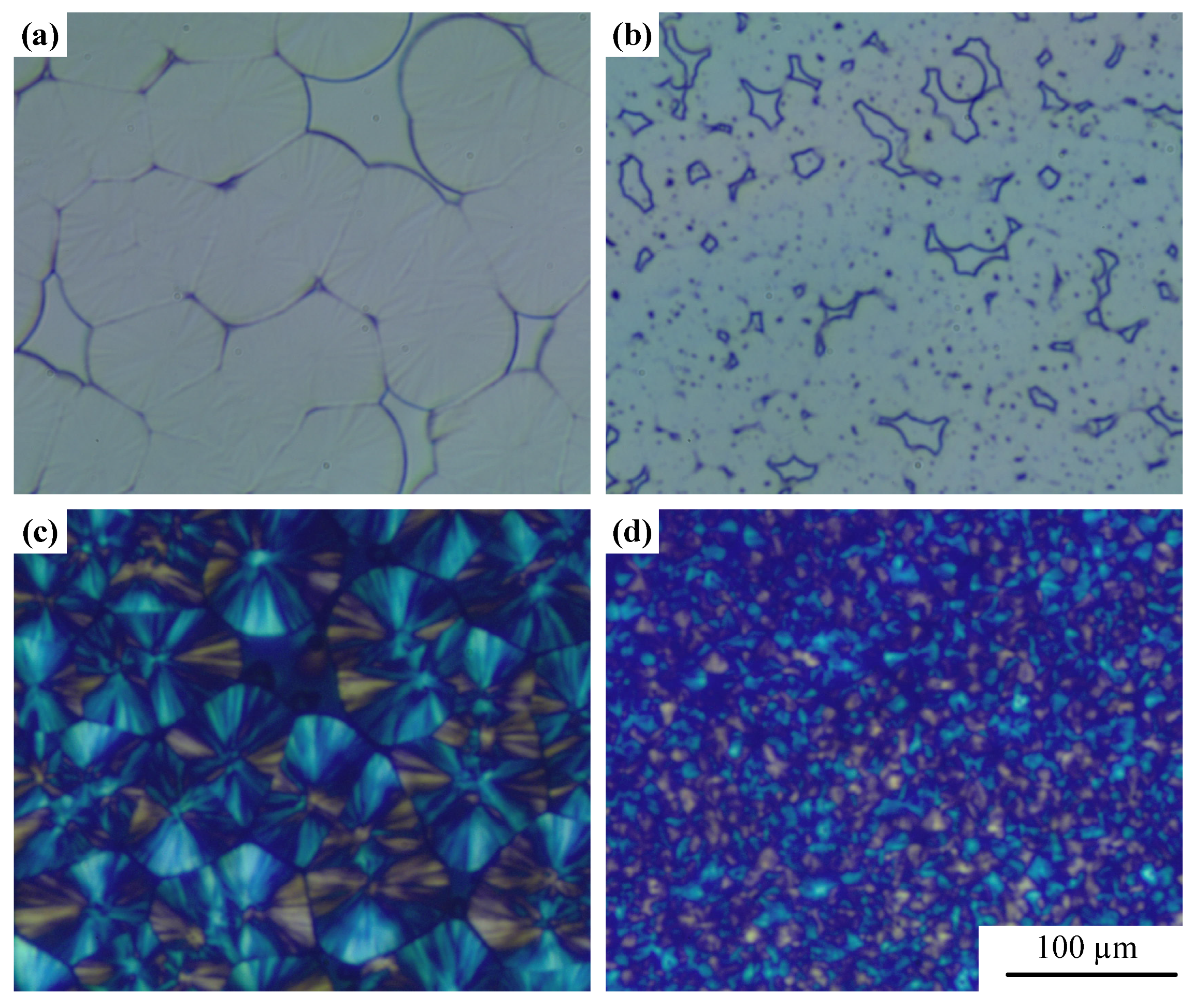Polymers 15 01204 g003