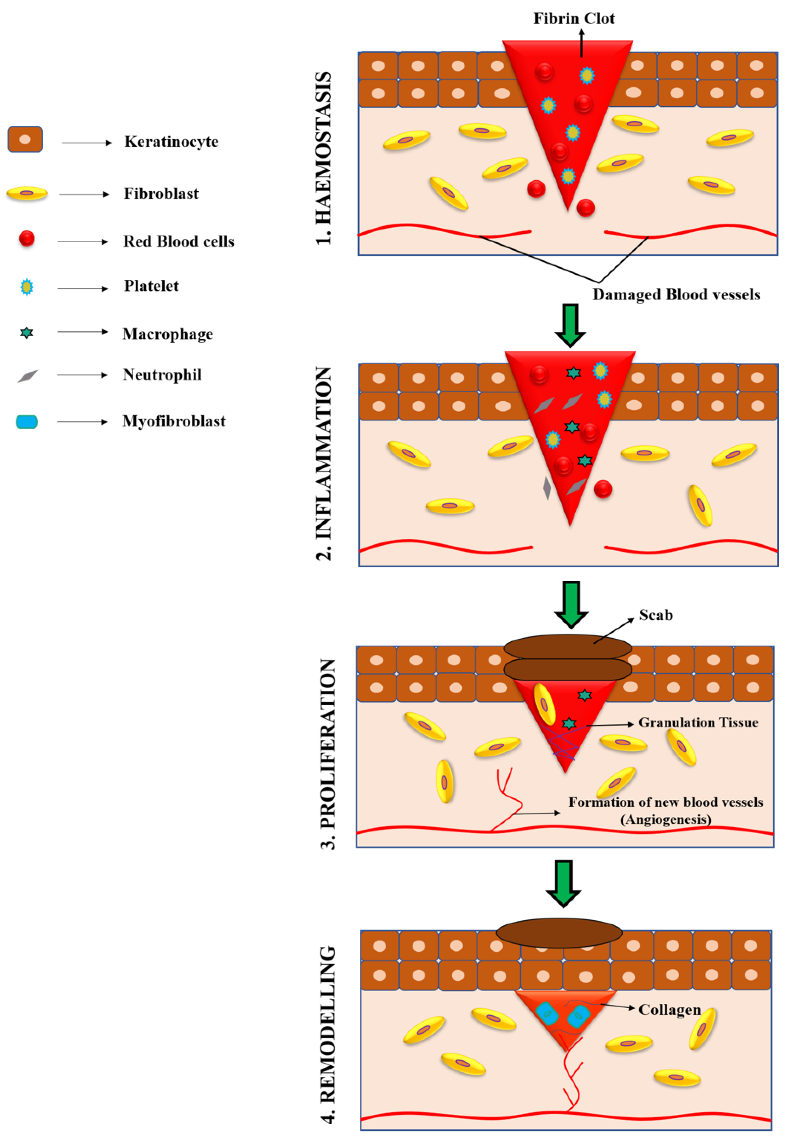 Polymers 15 01205 g001