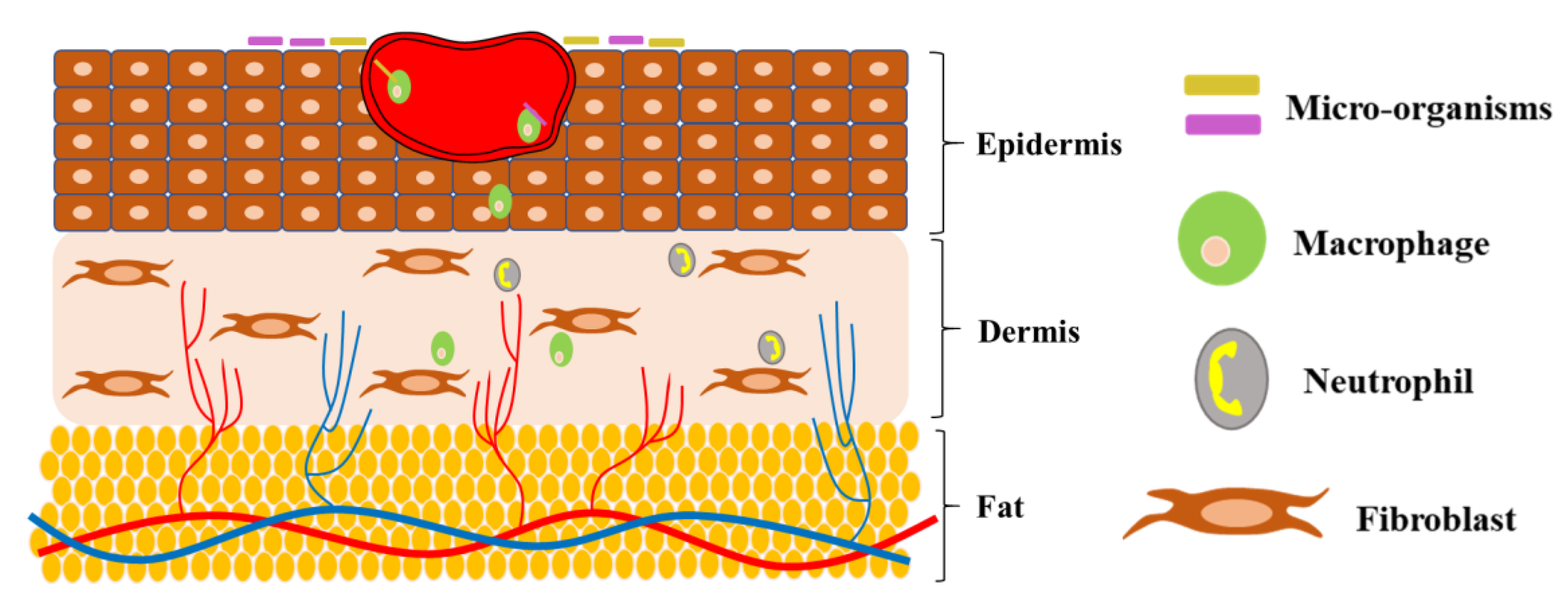 Polymers 15 01205 g002